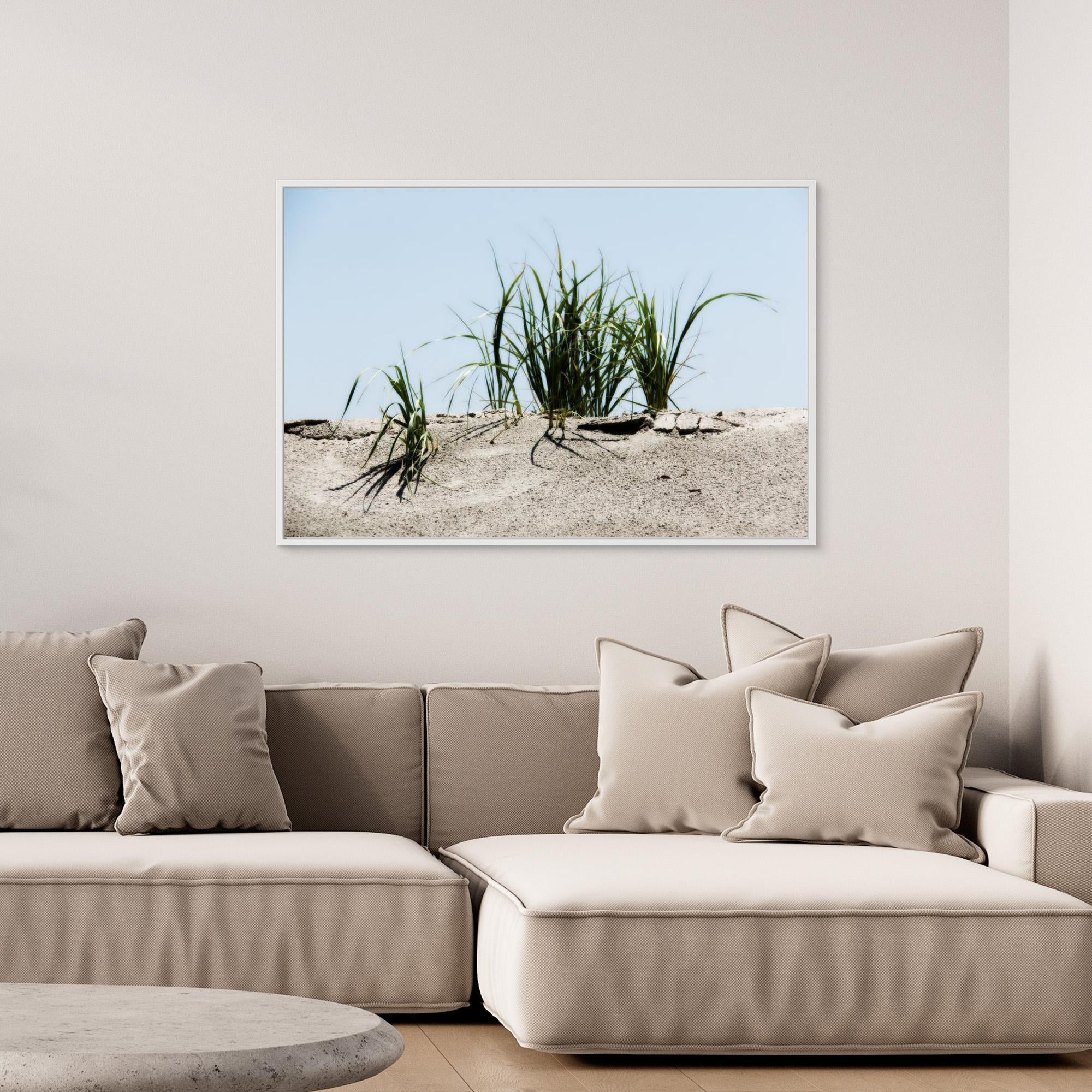 Jersey Shores USA 02