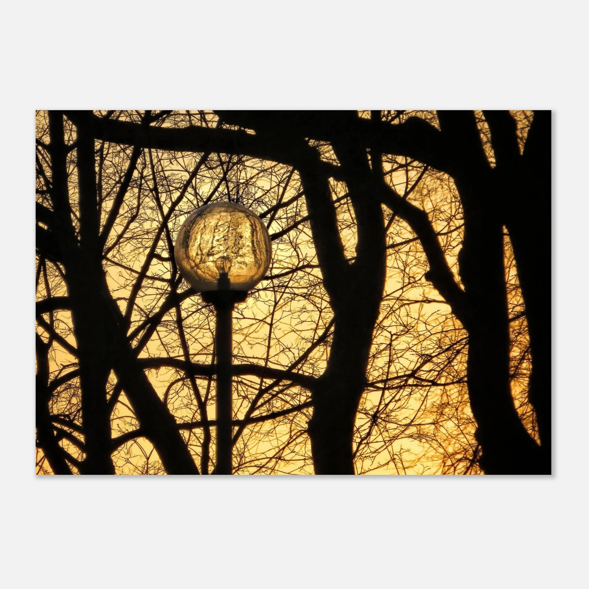d041433a-dd0f-401a-b9b9-8546728b3474