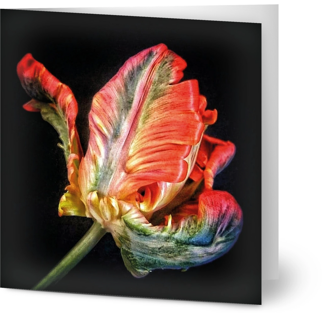 d5f99deb-4652-493e-810b-9cea04d8537f