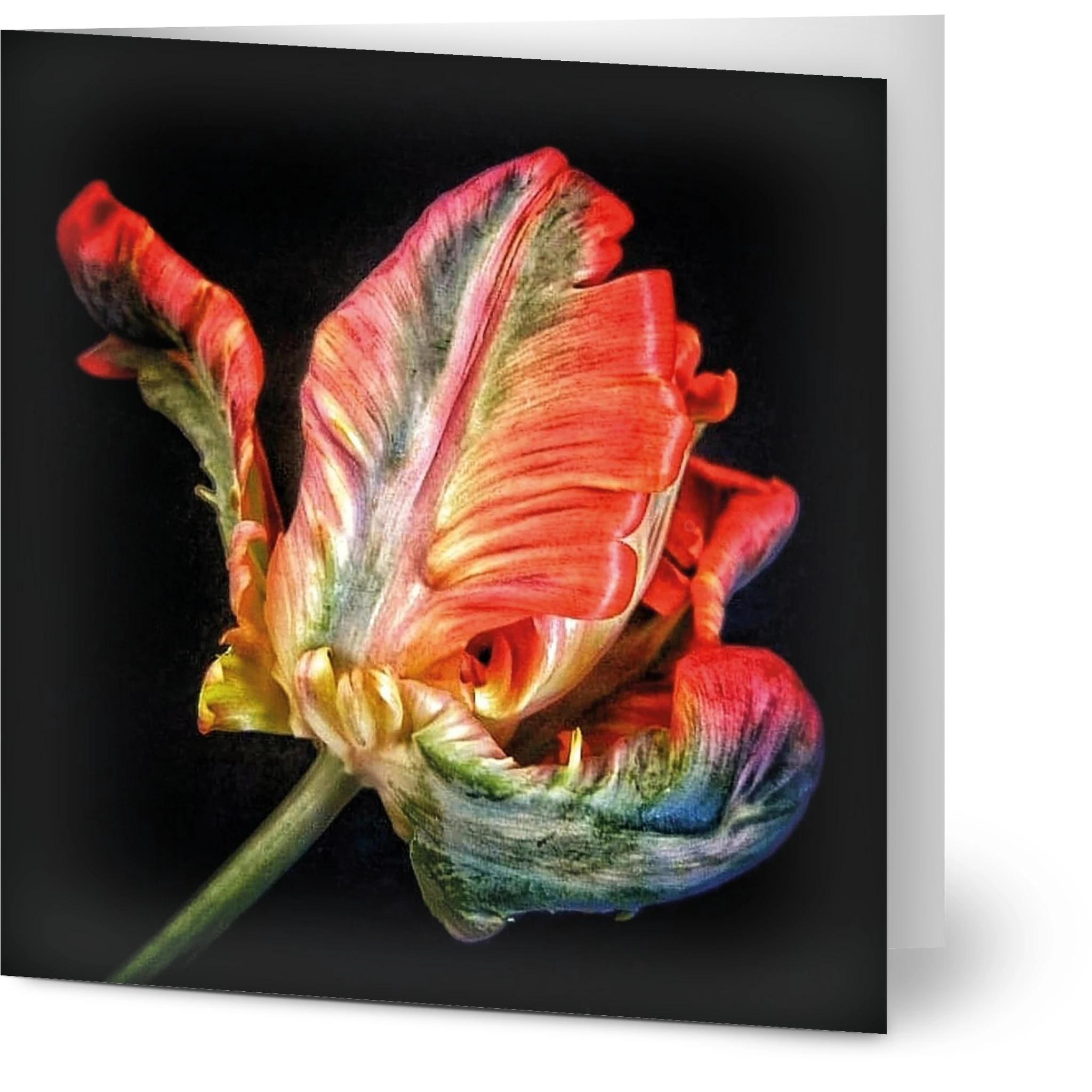 d5f99deb-4652-493e-810b-9cea04d8537f