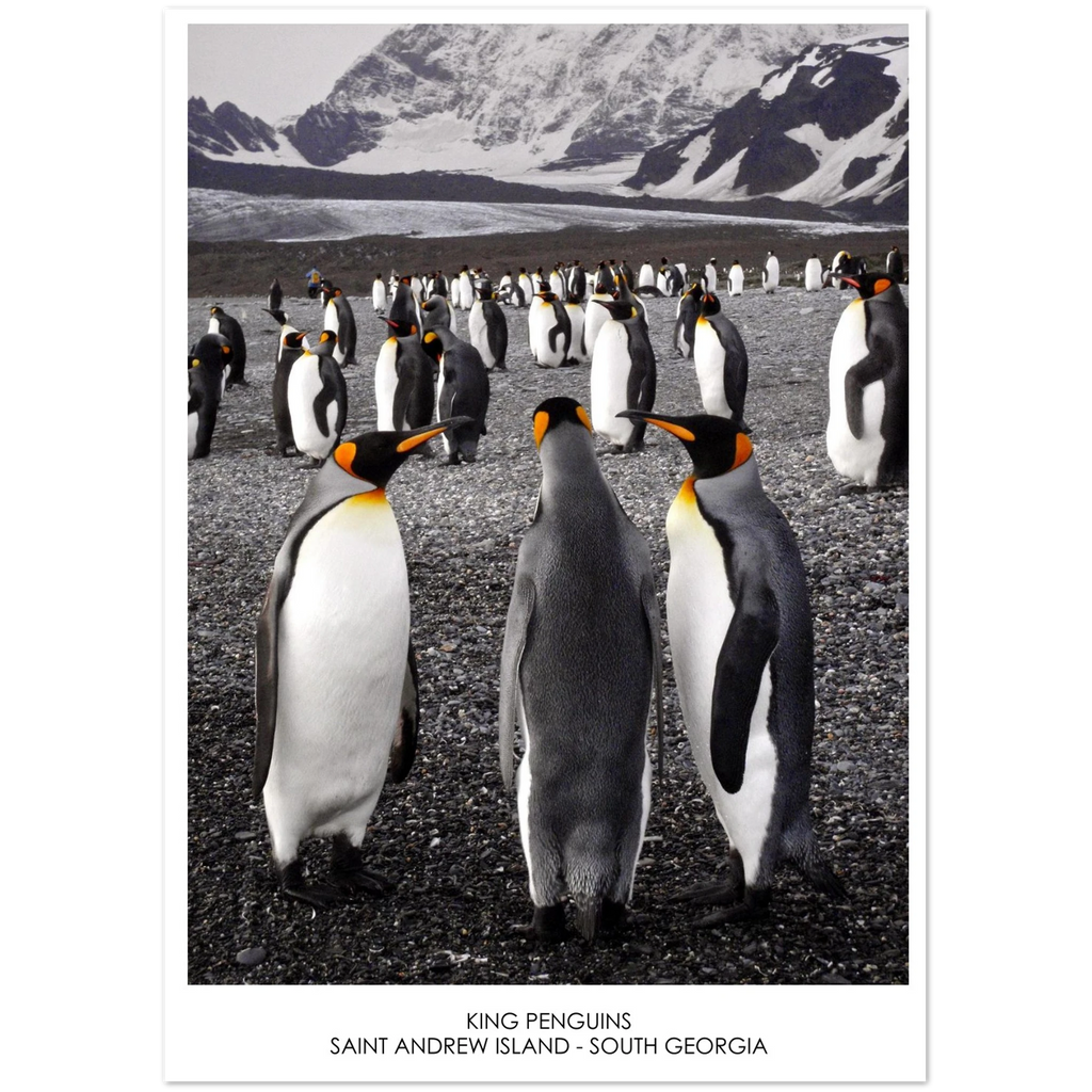 d6a8f999-8b38-40b3-807b-7896f99e775d