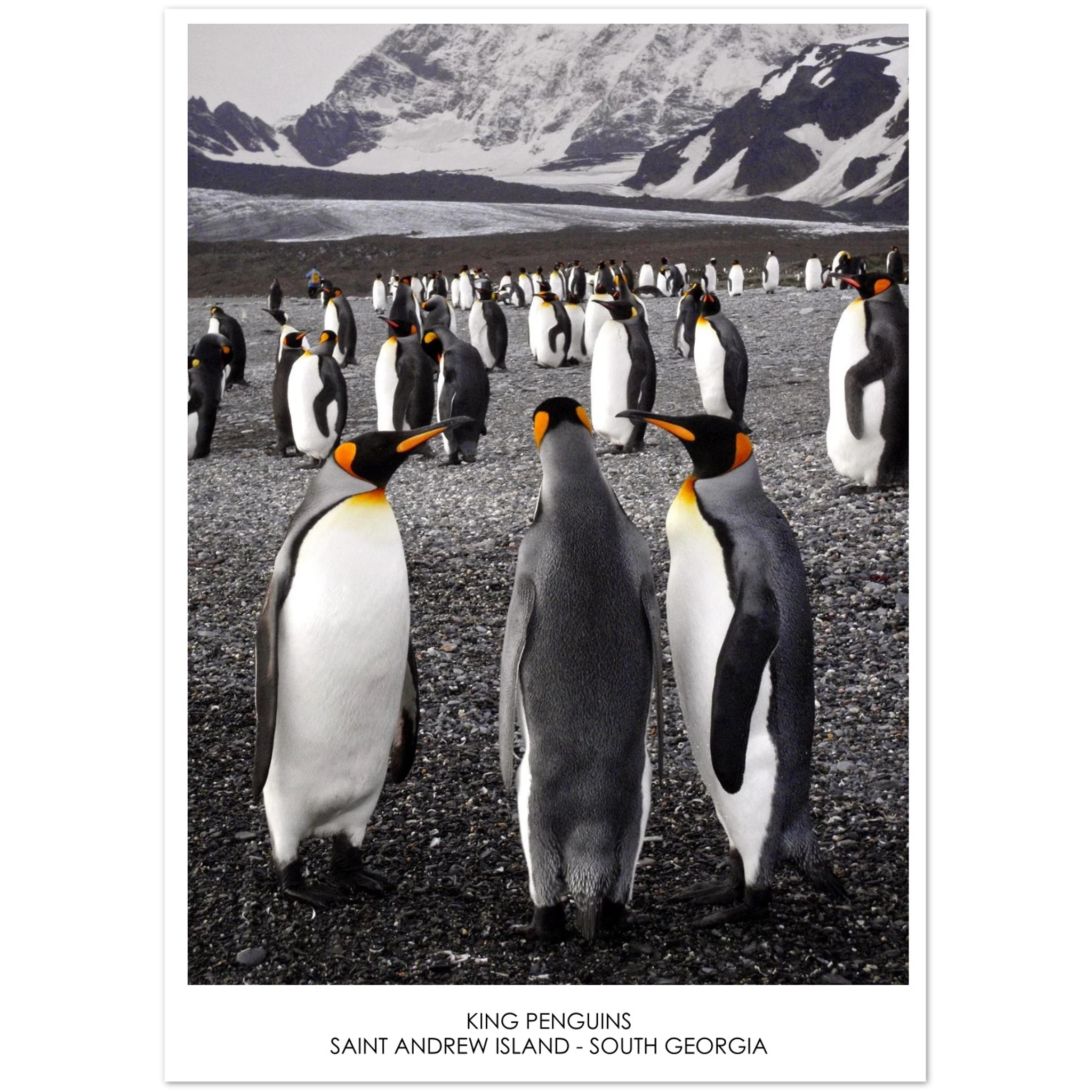 d6a8f999-8b38-40b3-807b-7896f99e775d