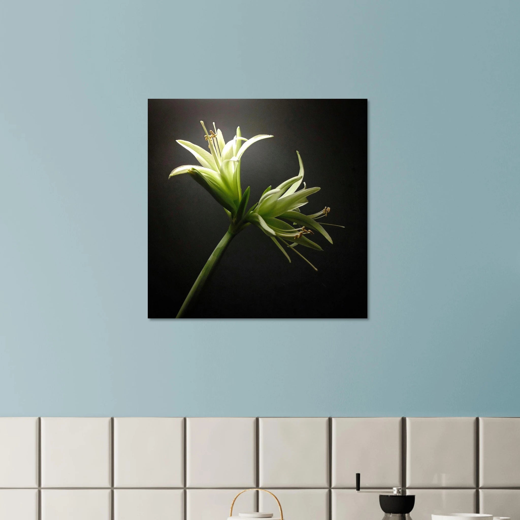 d6d709e0-0538-4870-81f6-ca0d21c9ae55