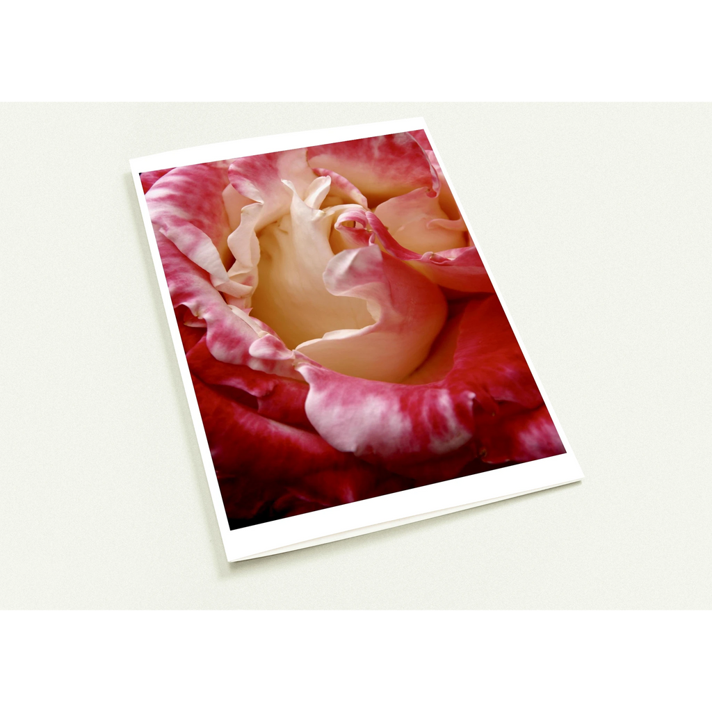 d76622ef-79c1-4ff7-9c6b-035094c2cfc7