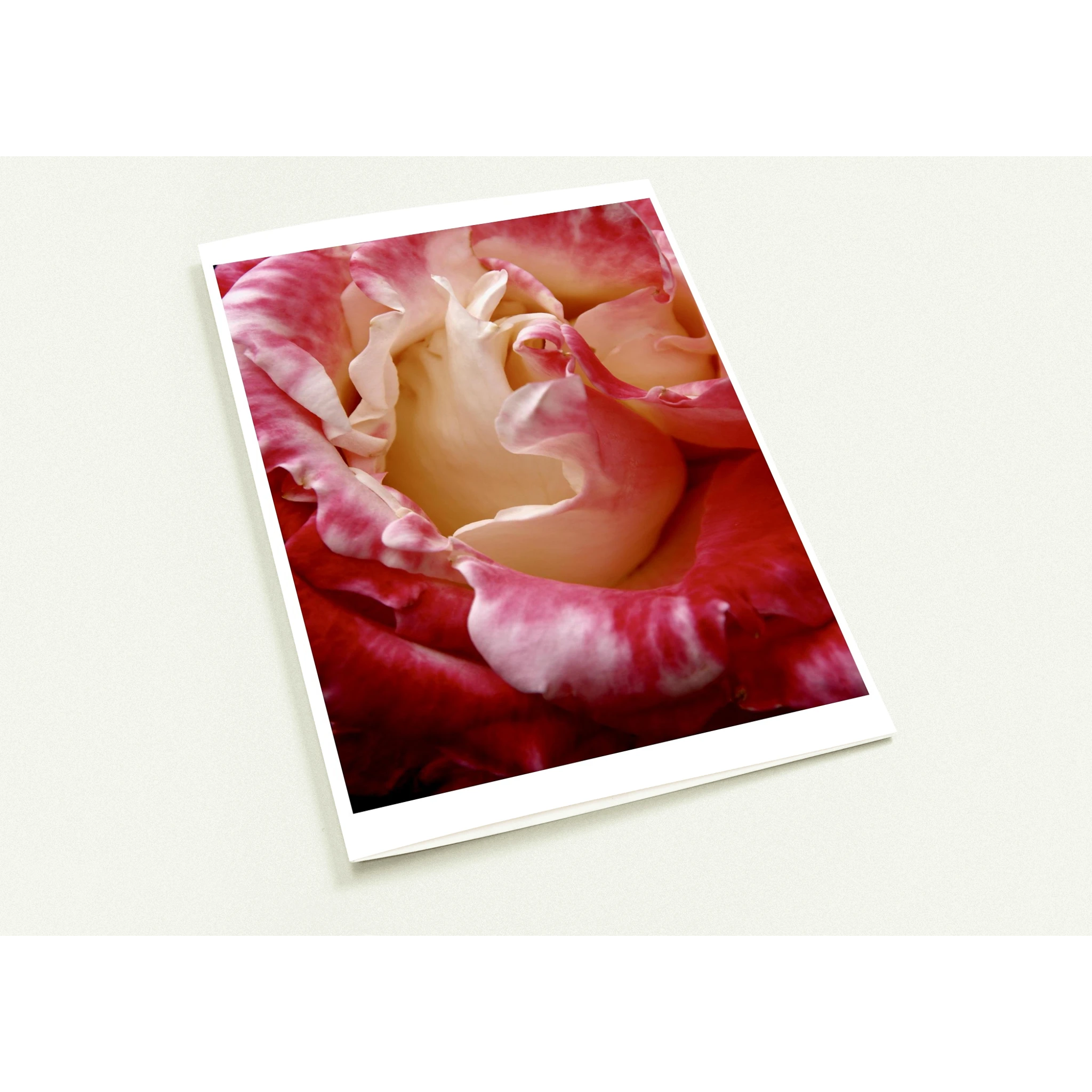 d76622ef-79c1-4ff7-9c6b-035094c2cfc7