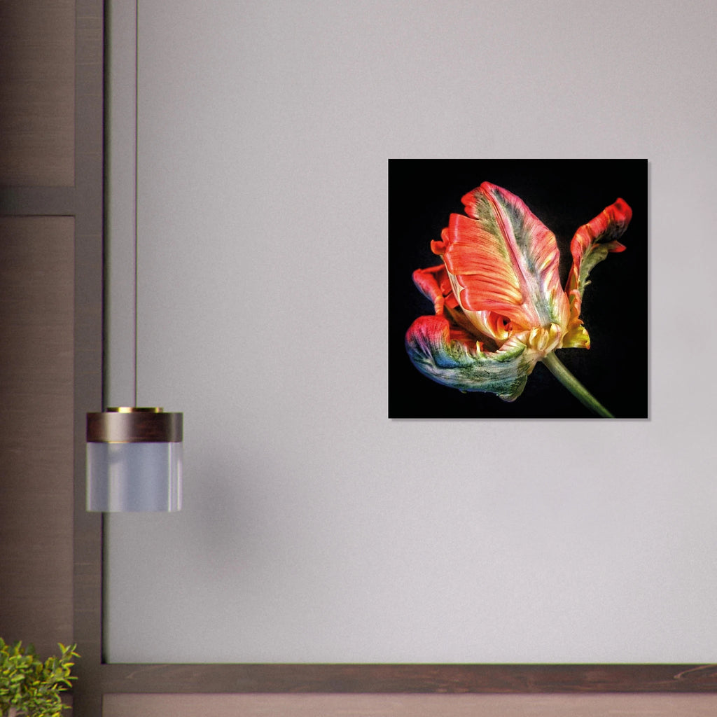d78900c2-791f-476e-849d-ee655cfd5cbd