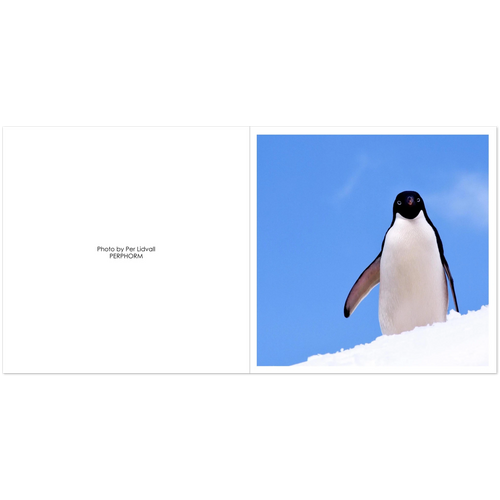 da027171-6709-4be4-98cf-3bfca3fc1afd