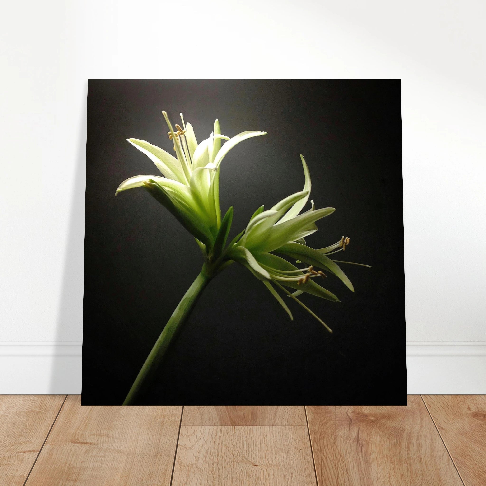 dc901002-2286-4c74-be00-510c5aeeba82