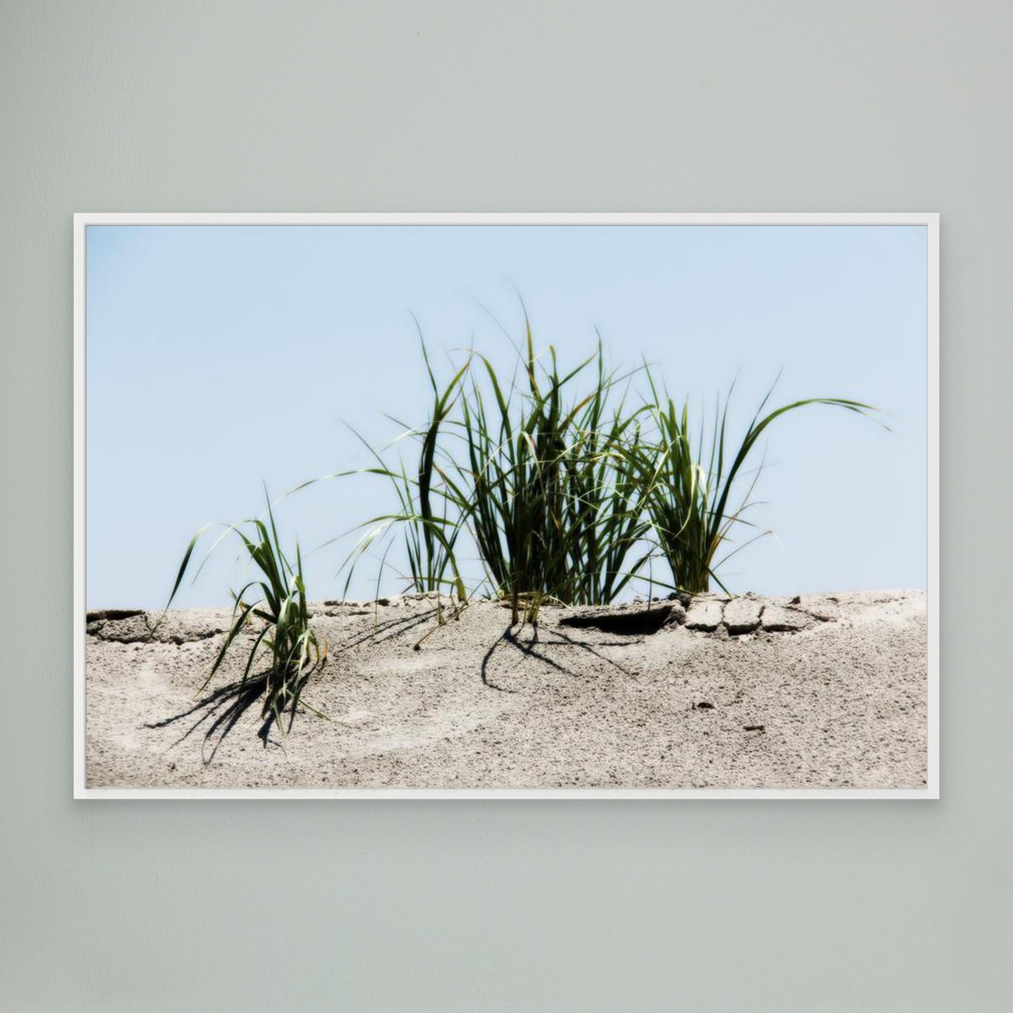 Jersey Shores USA 02