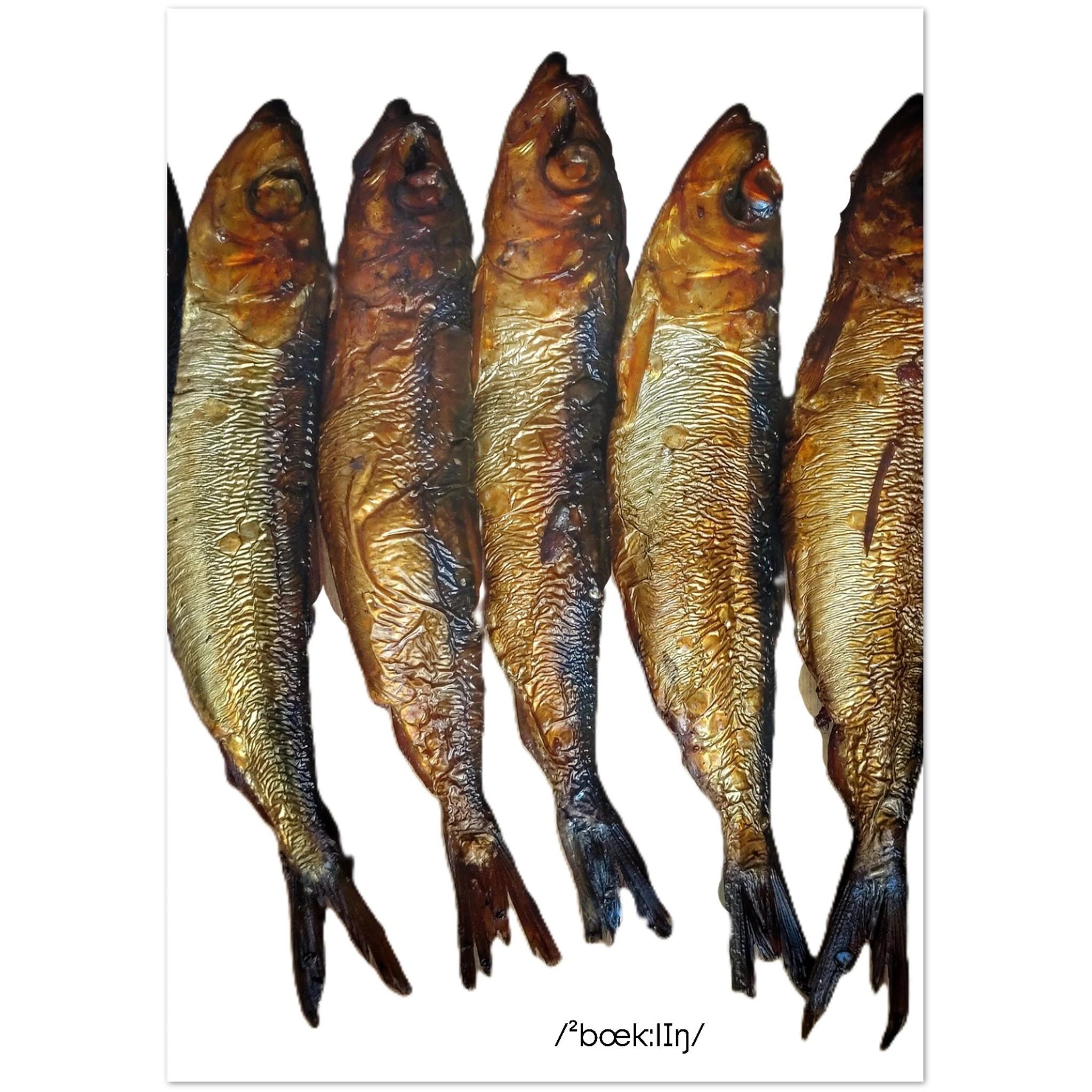 e3fb1a0b-1094-4452-b50b-5d27d1a0d557