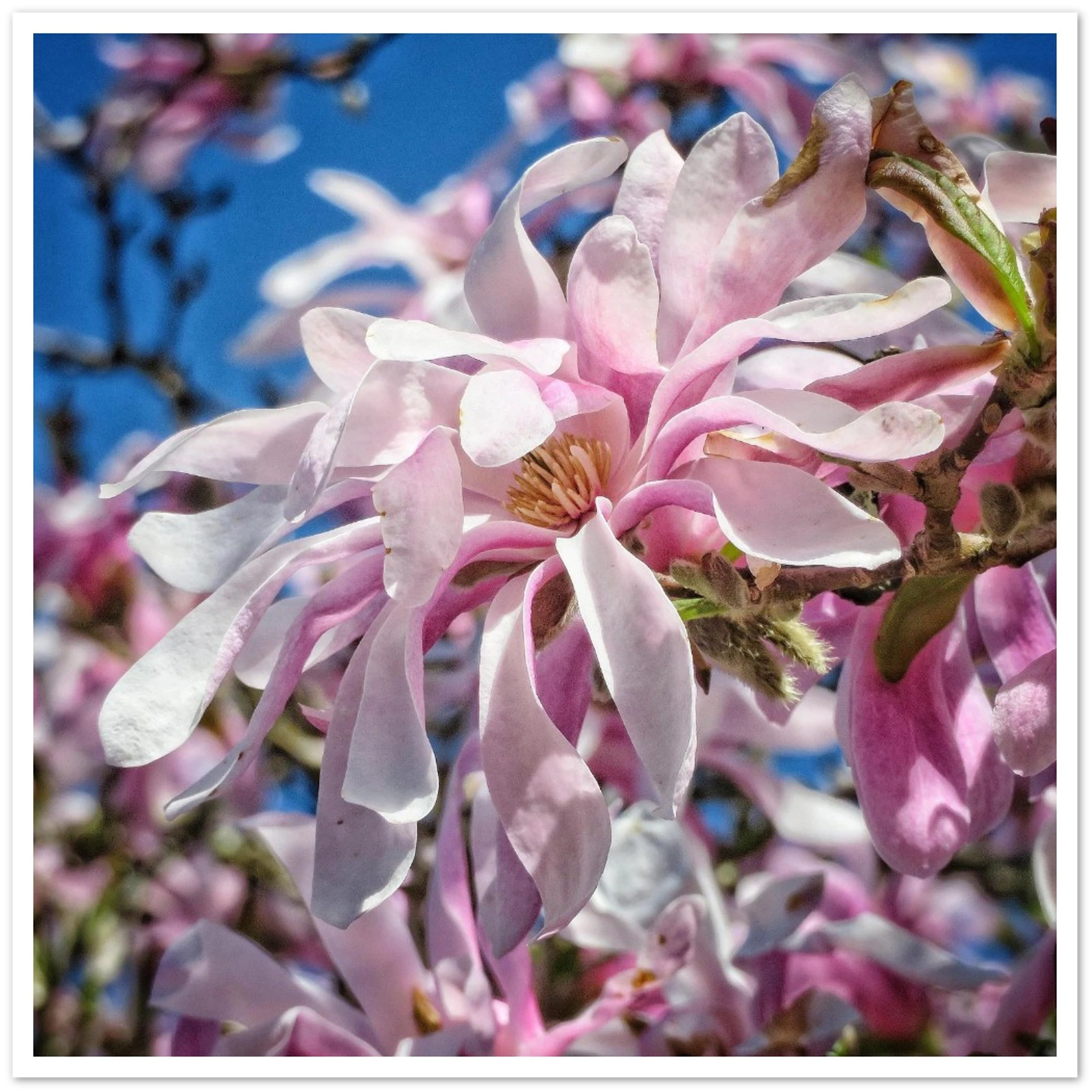 e5299c07-7e45-4cbb-881f-c17c3298eb9b