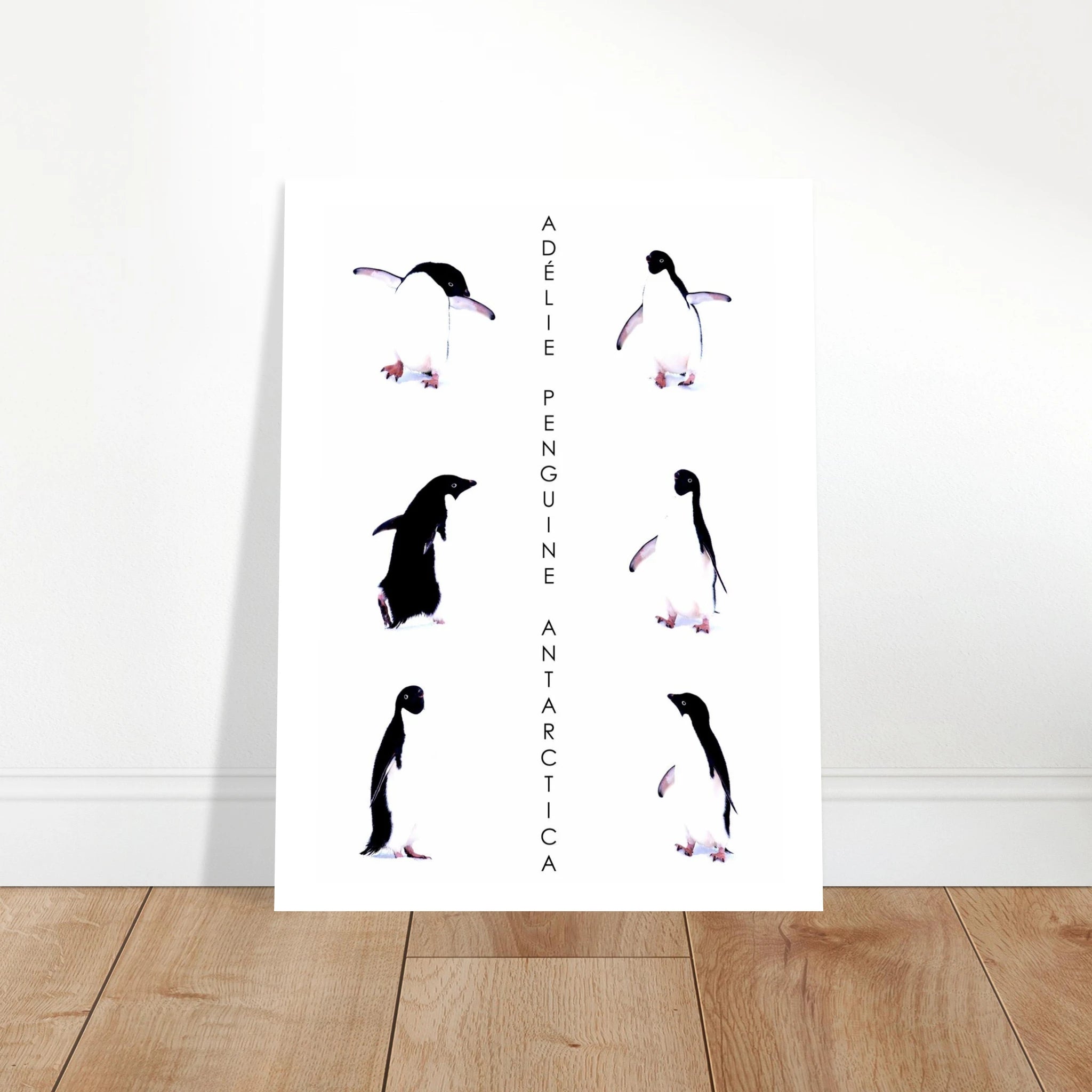 e5fa1640-0517-4000-a949-caefddf1280e