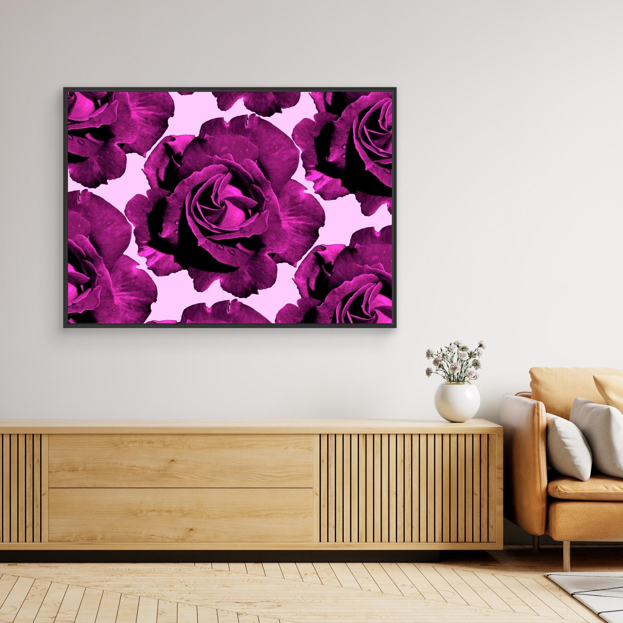 Ros Varas Chile Rose 07