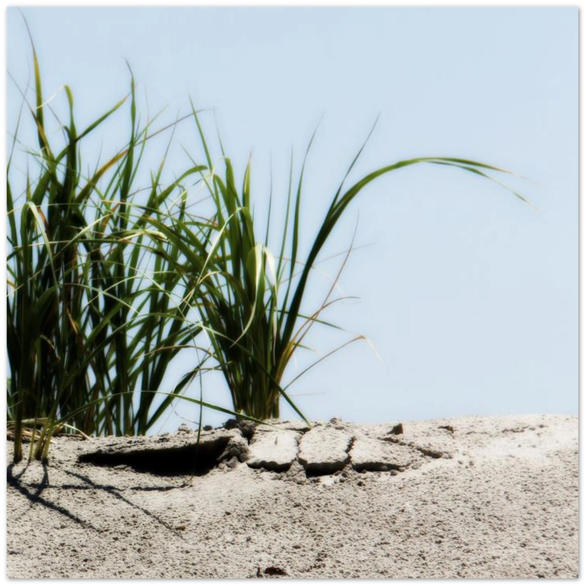 e8384b4d-42ef-4d0e-9310-b00262524d6b