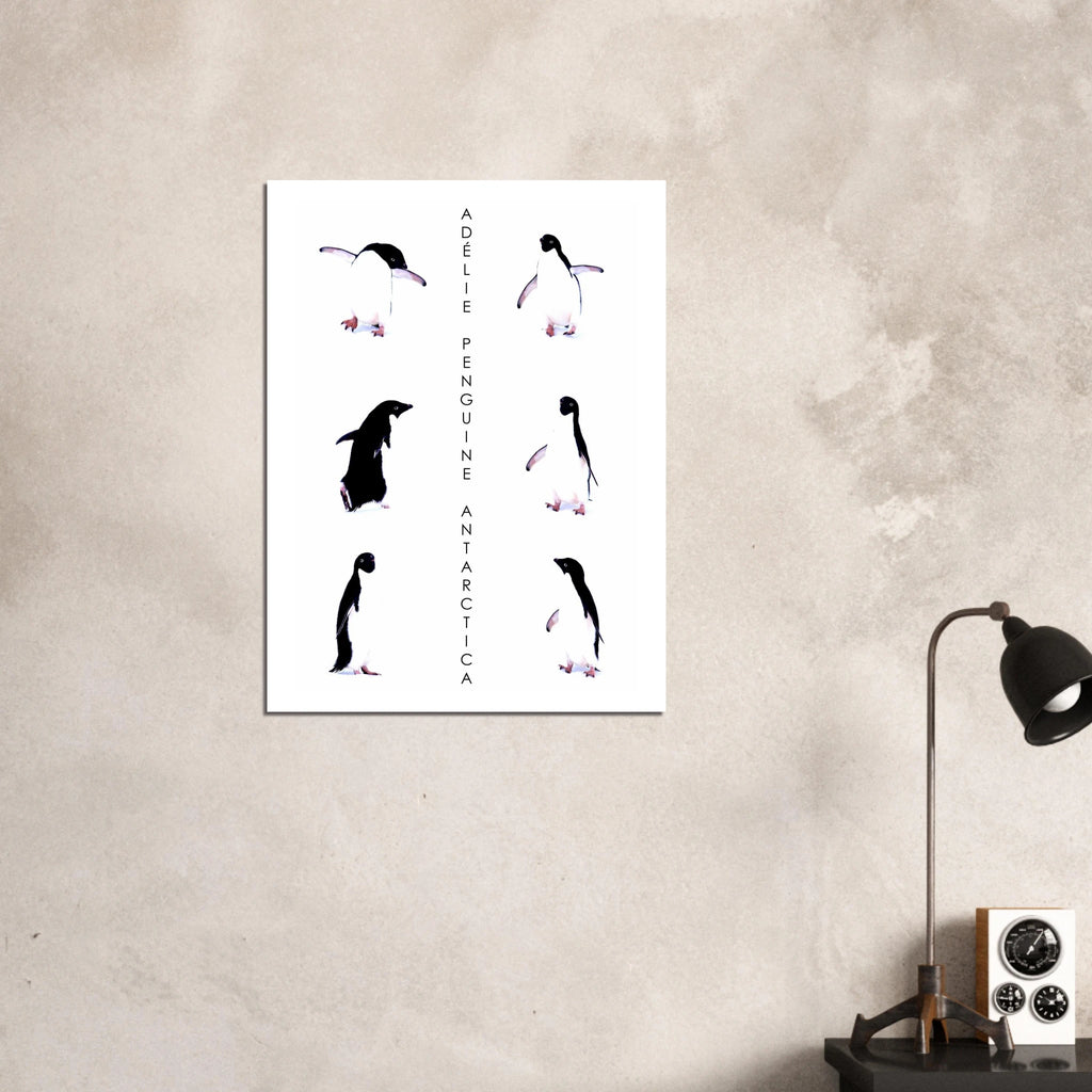 e91eae73-5754-4d45-8779-8de1a2836a7f