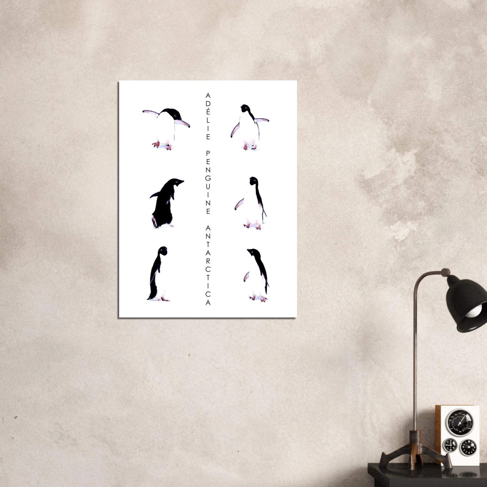 e91eae73-5754-4d45-8779-8de1a2836a7f