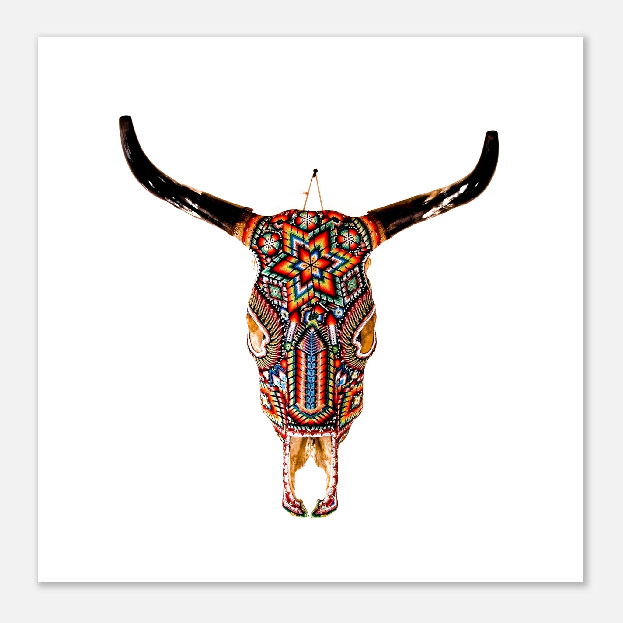 ed01ba08-0c6d-4aa9-89bb-573e846a3785