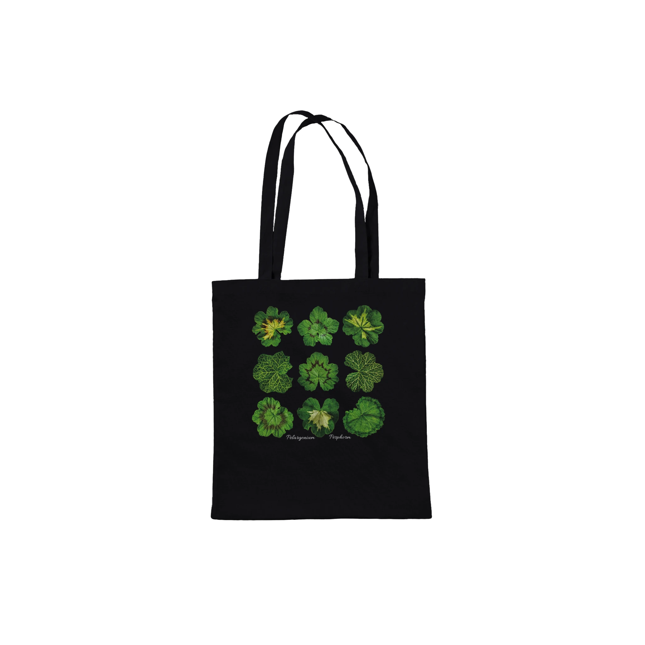 ede02a88-04df-480e-b1ed-24222a135713