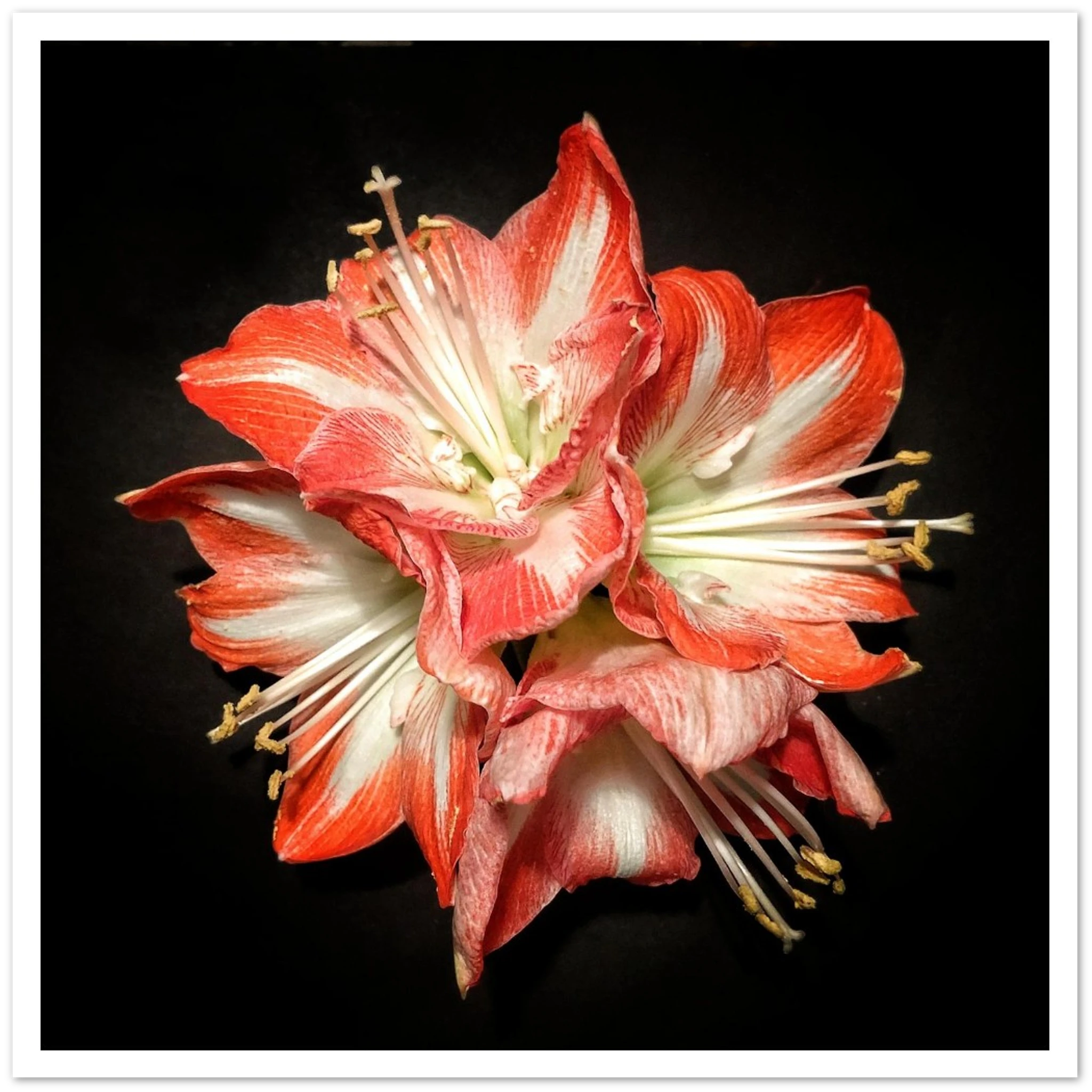 ee96fc4a-88c9-4c2b-9e1d-43715ef19b74