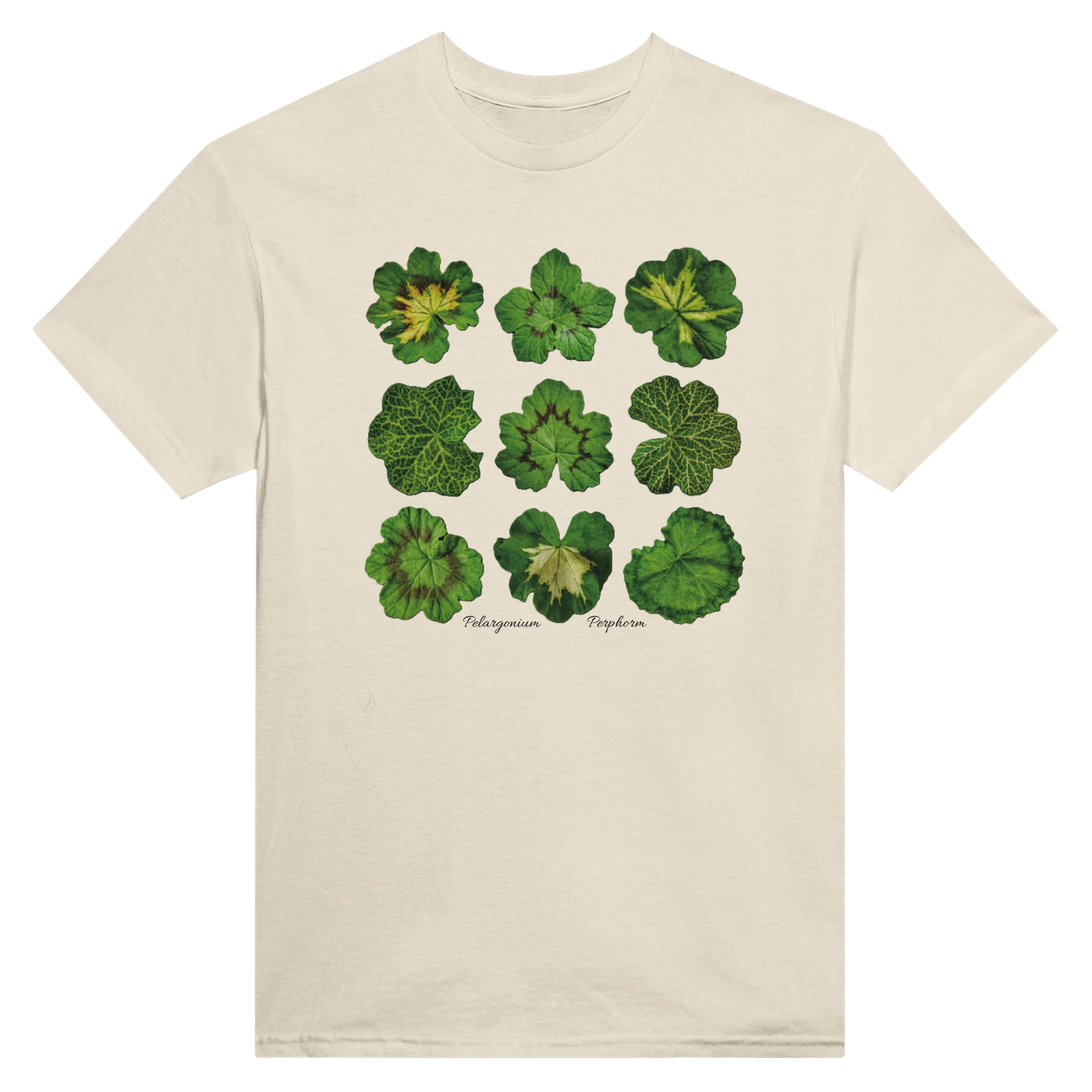 f07c252b-423c-42f7-87a4-64223ff5d3d5