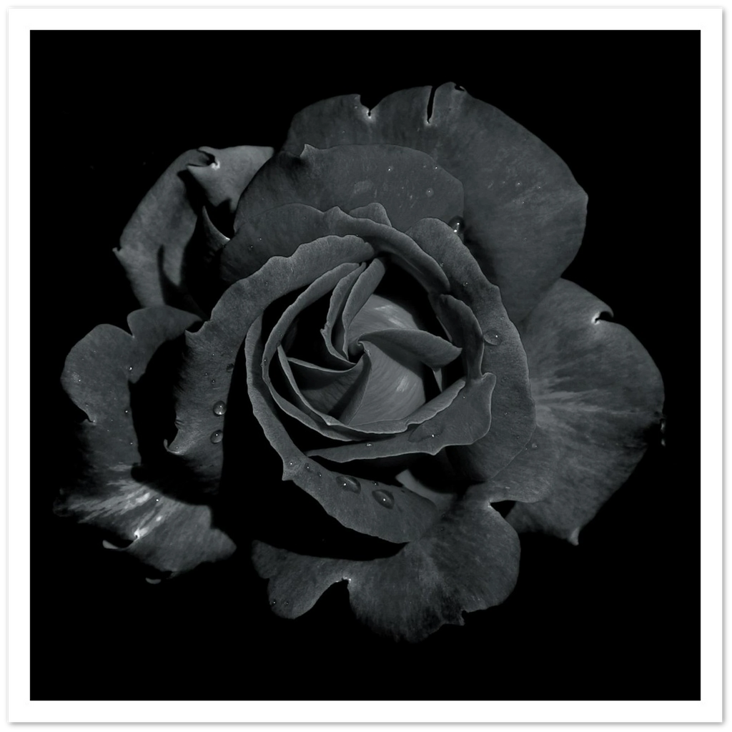 f09f52ca-8a7b-48a1-bdf8-9b73377652e5