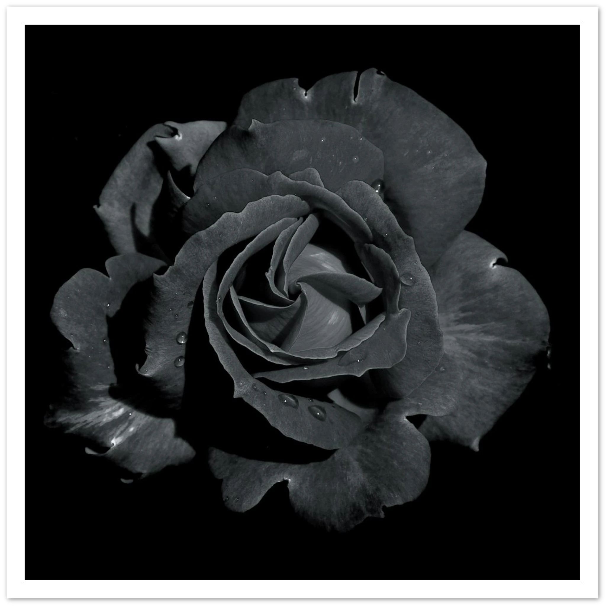 f09f52ca-8a7b-48a1-bdf8-9b73377652e5