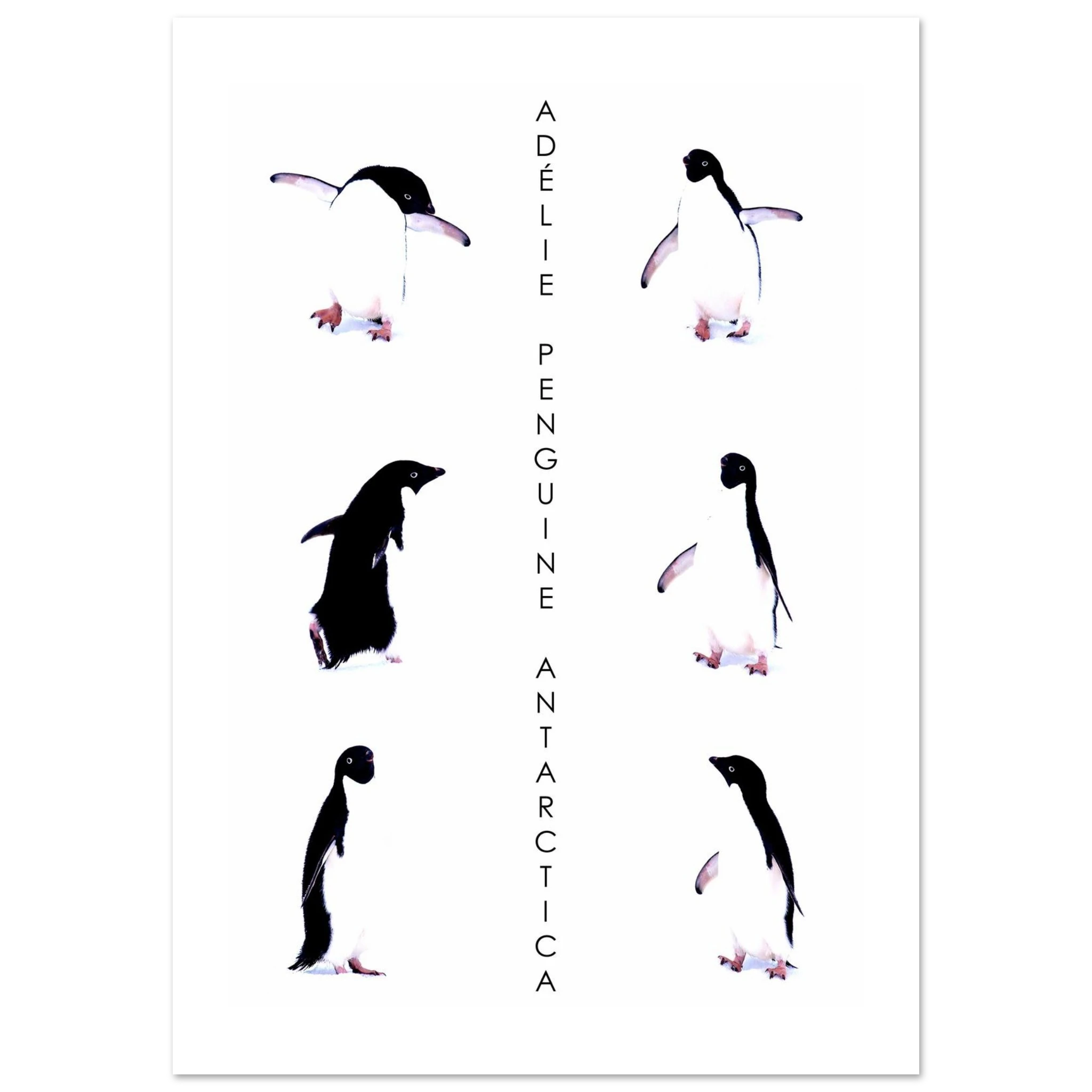 f367f929-ff34-4226-8851-580be930bed7