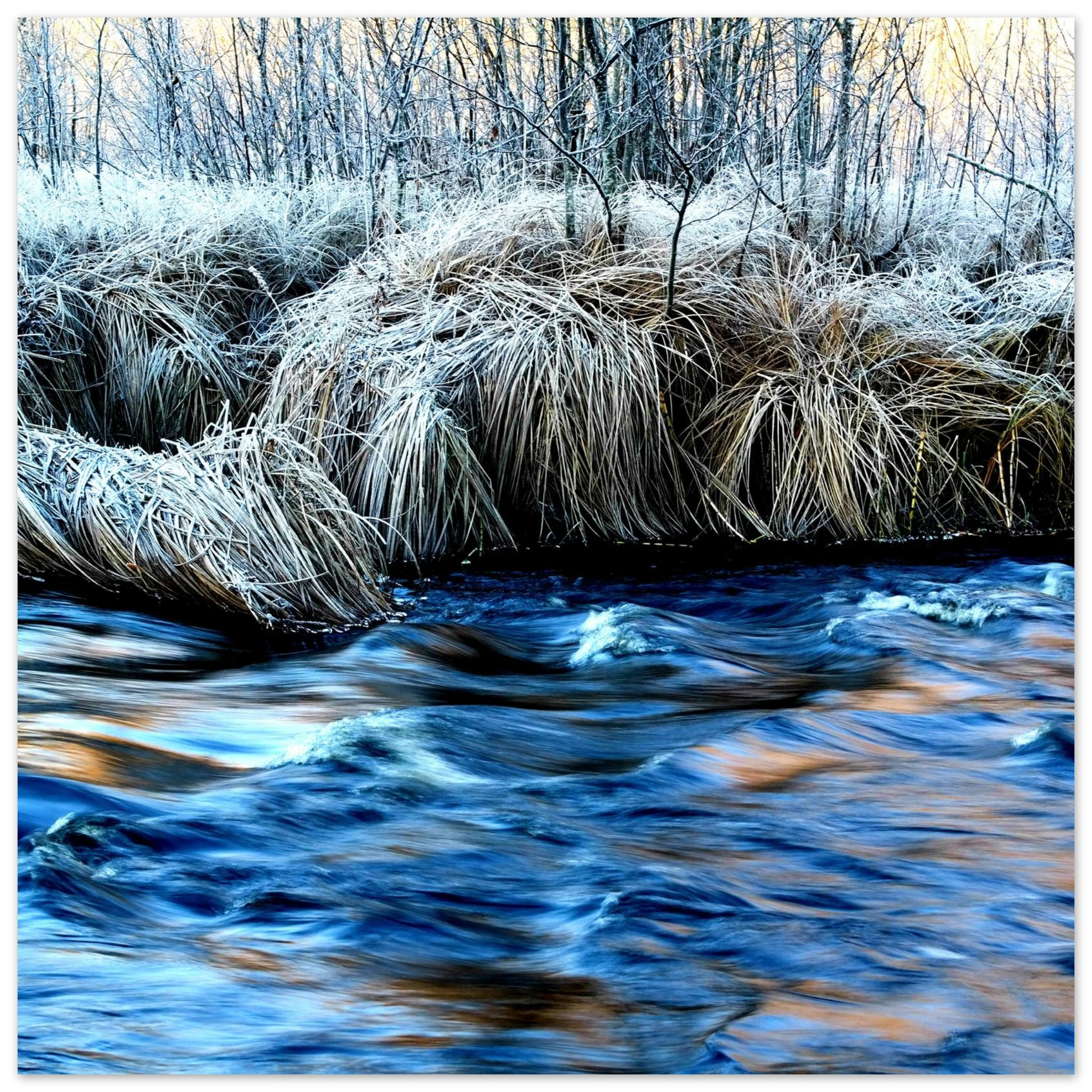 f4b4a5ac-1551-4772-92f5-1e6e8c28cc3c