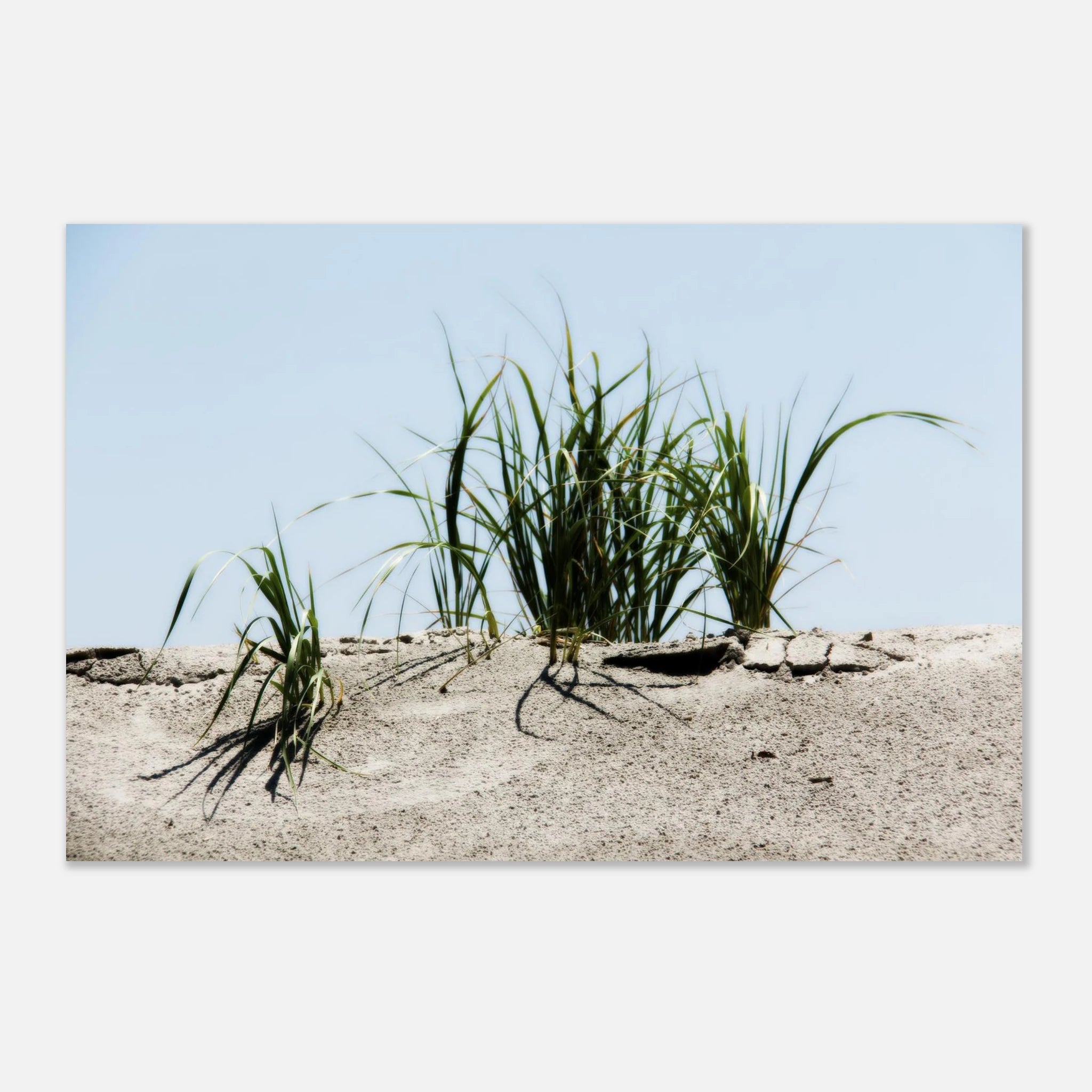 f63b5d92-bd72-4354-8719-0fa164dab4c9