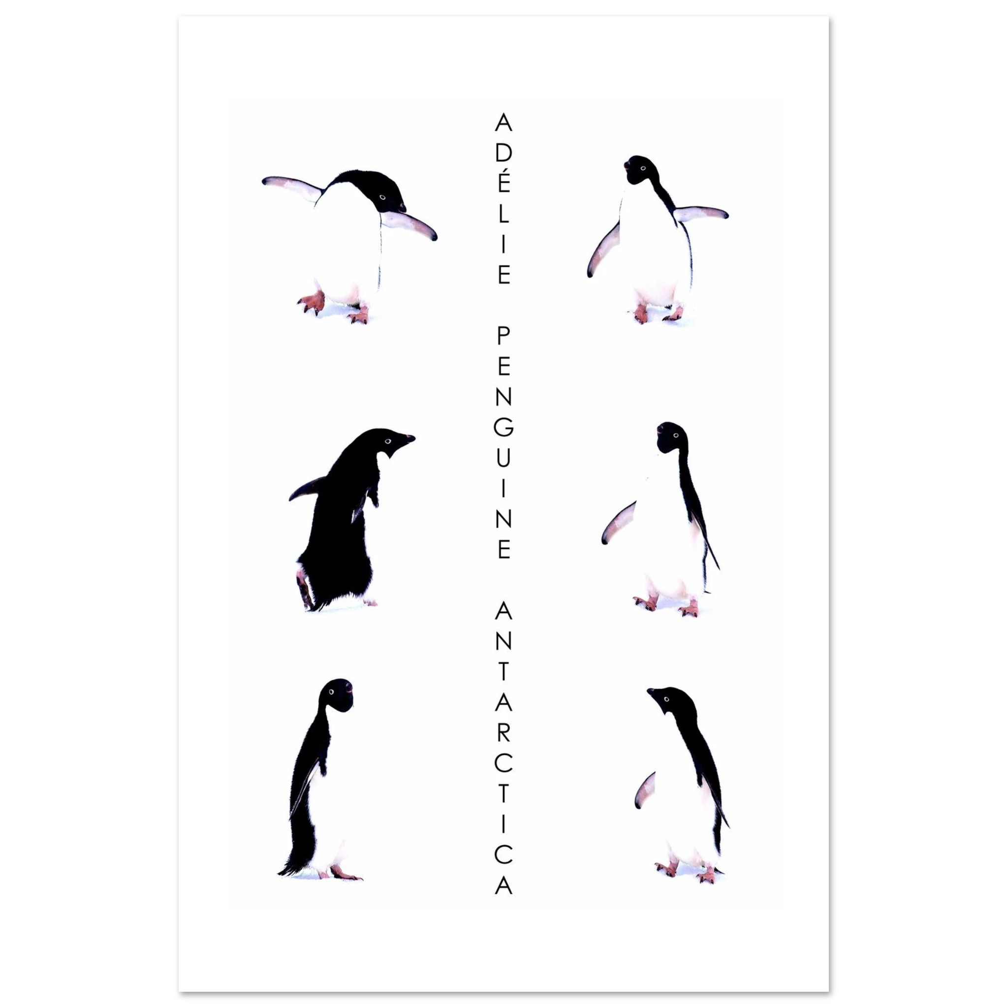 f6ae0706-a826-431e-a18e-1932fb6fccc8