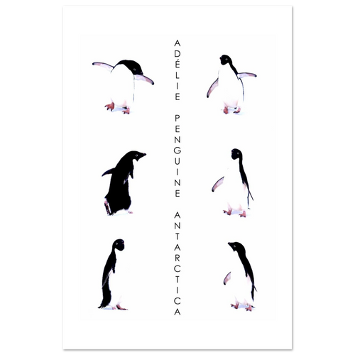 f6ae0706-a826-431e-a18e-1932fb6fccc8