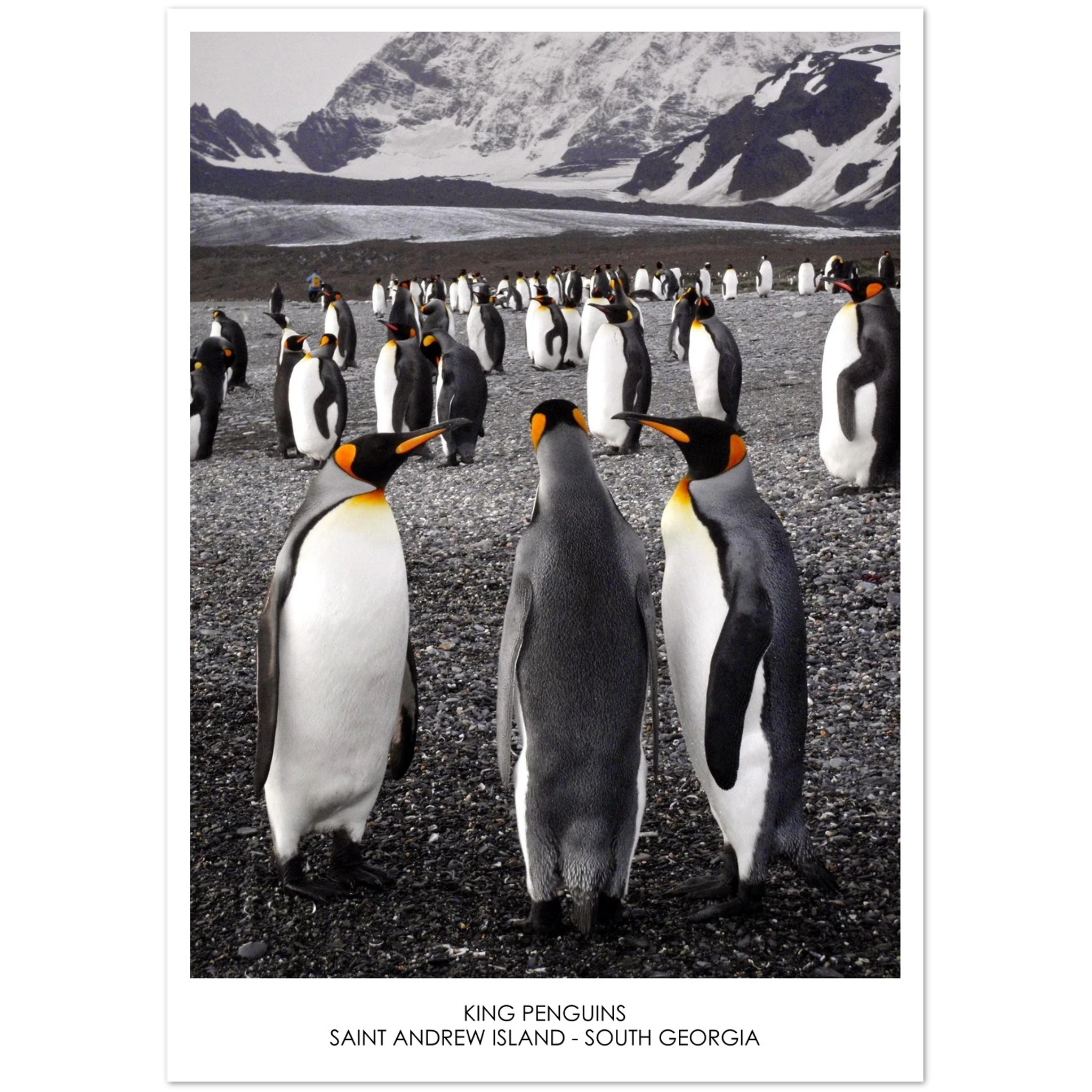 f8006b9f-c64f-4992-9705-71b291efe14f