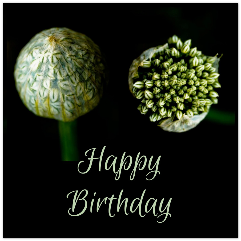 fa3065f6-f443-4c34-aa1c-0634b9ee8517