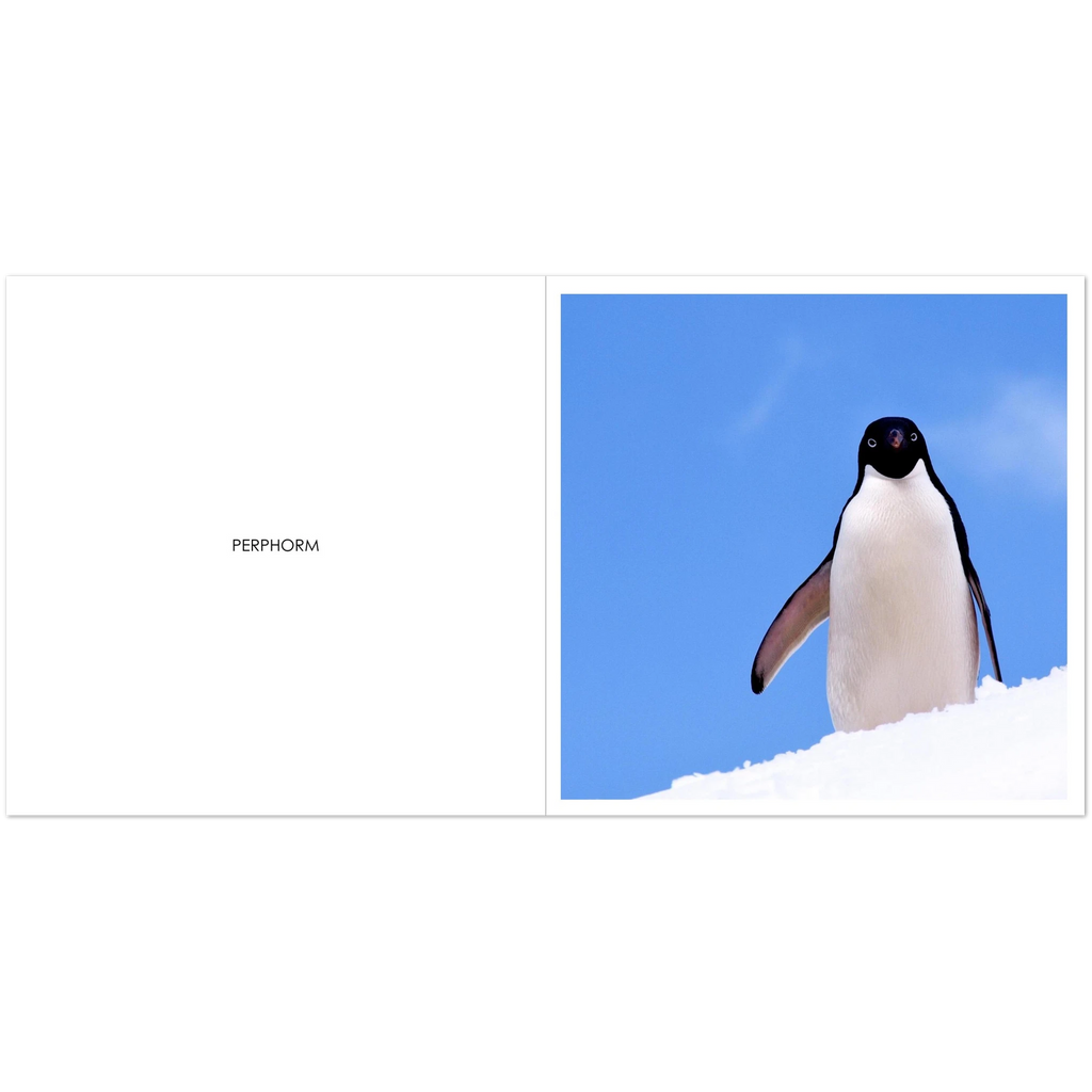 fed2ca87-8ea9-4a8f-b45d-4e698f3f1365