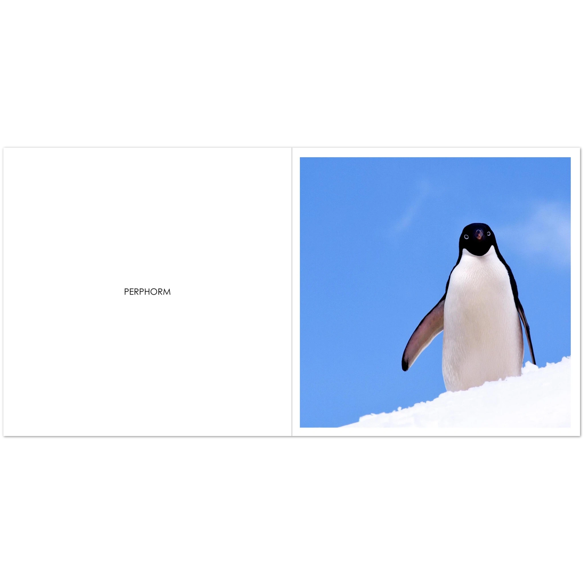 fed2ca87-8ea9-4a8f-b45d-4e698f3f1365