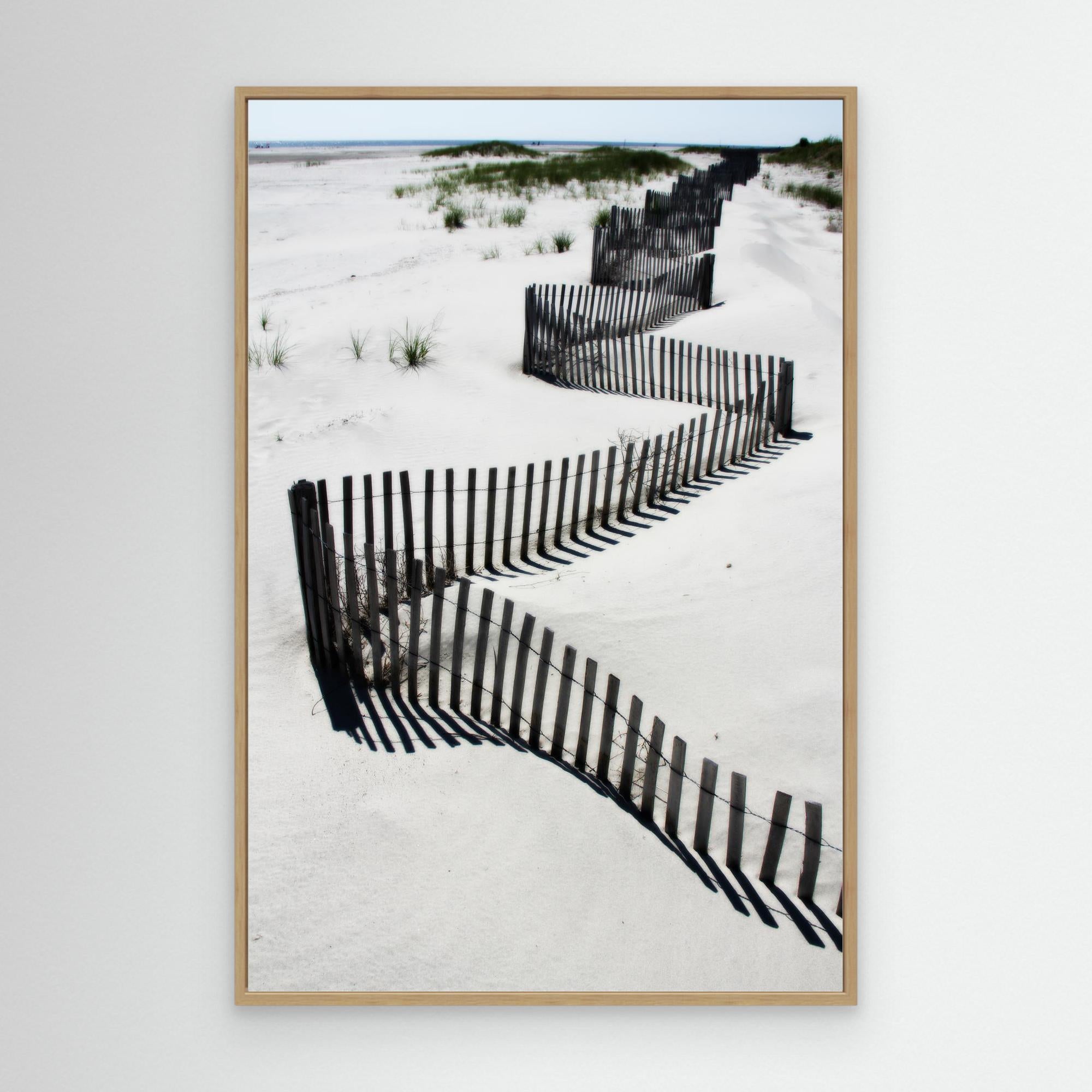 Jersey Shores USA 01