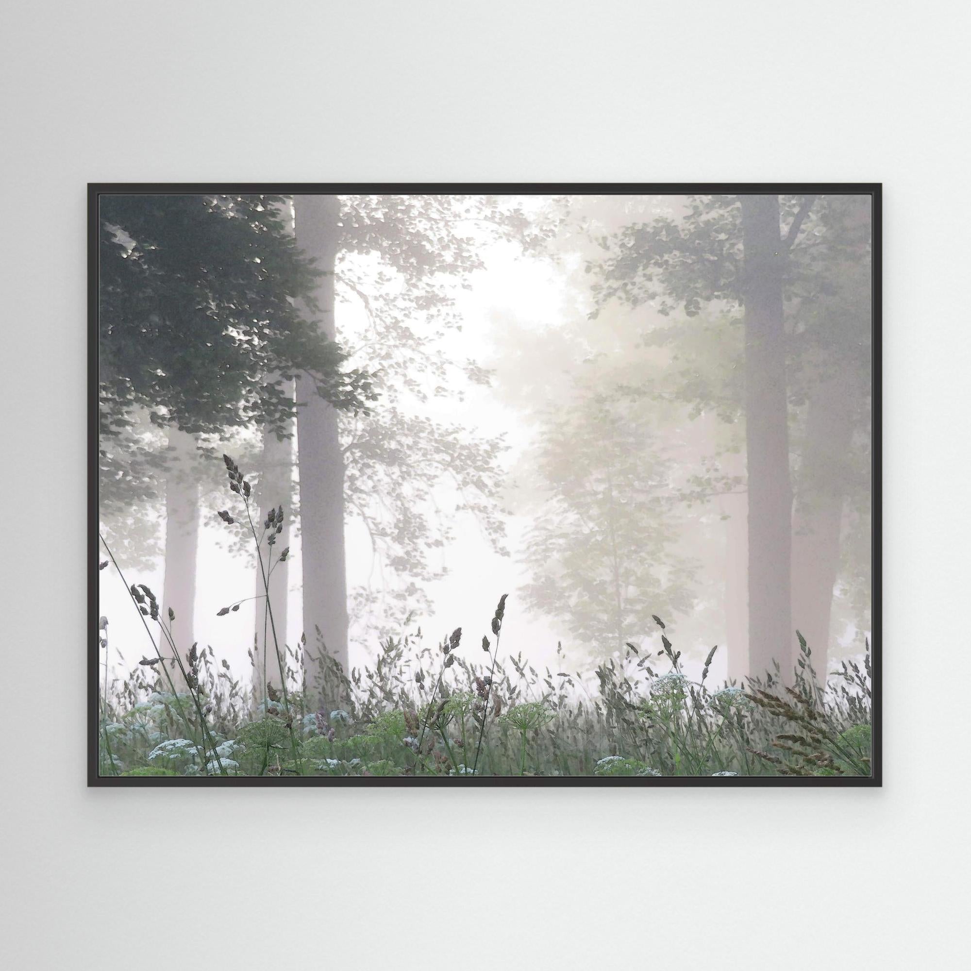 Sommarmorgon Summer Morning