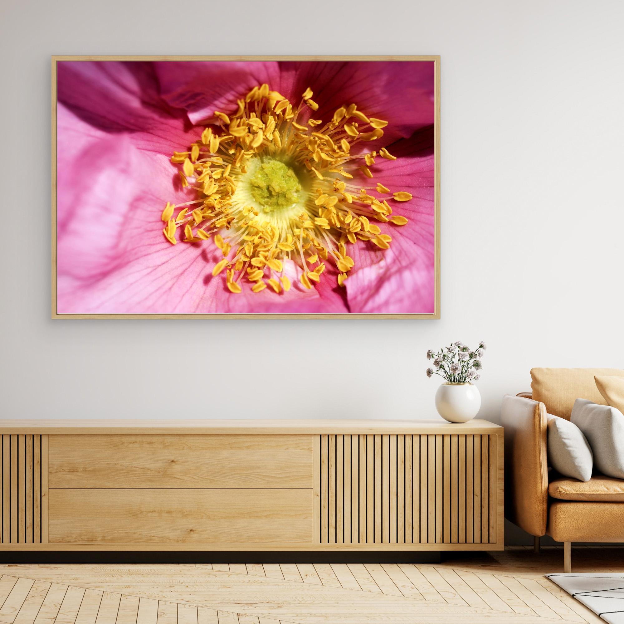 Ros Hunter Valley Rose