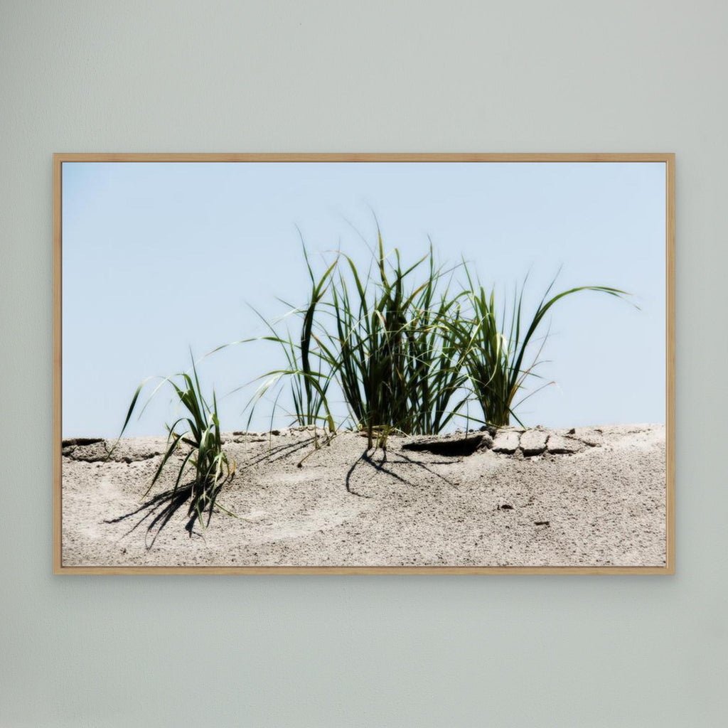 Jersey Shores USA 02