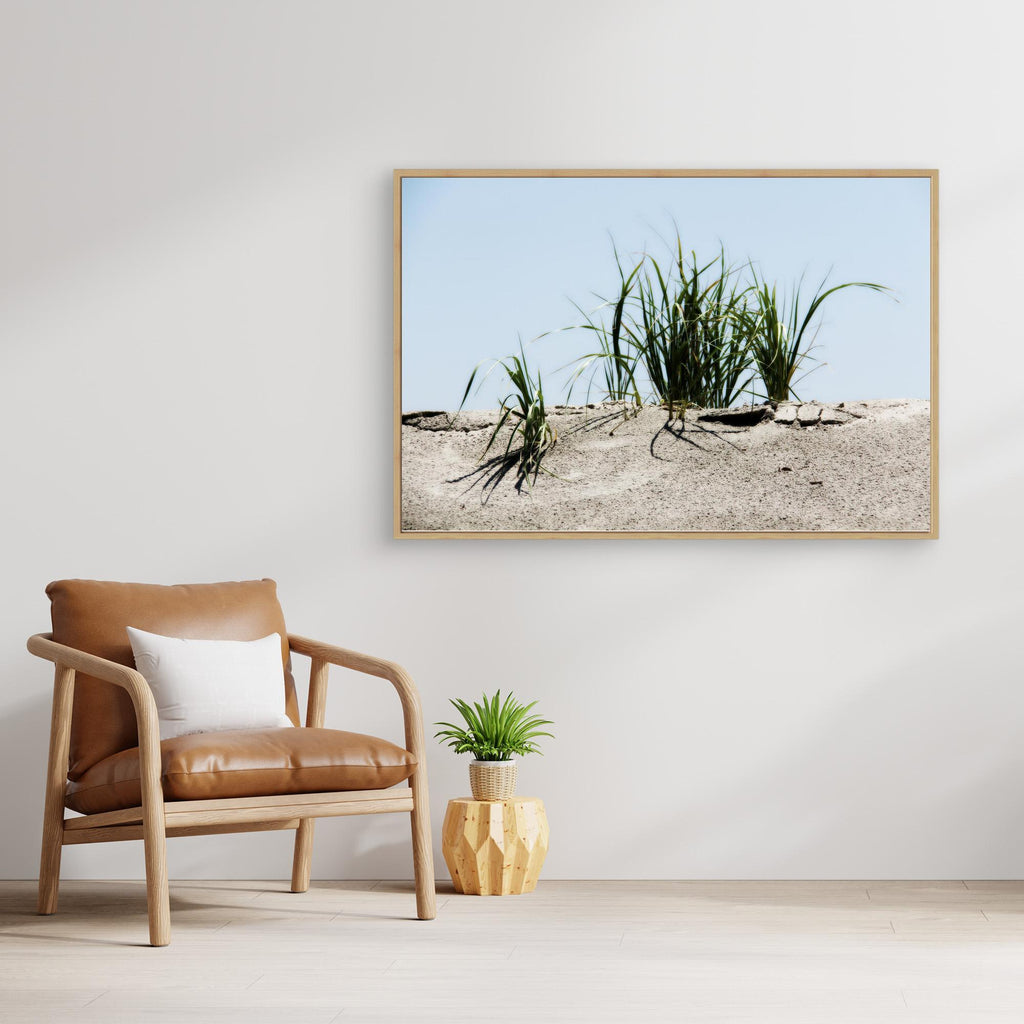 Jersey Shores USA 02