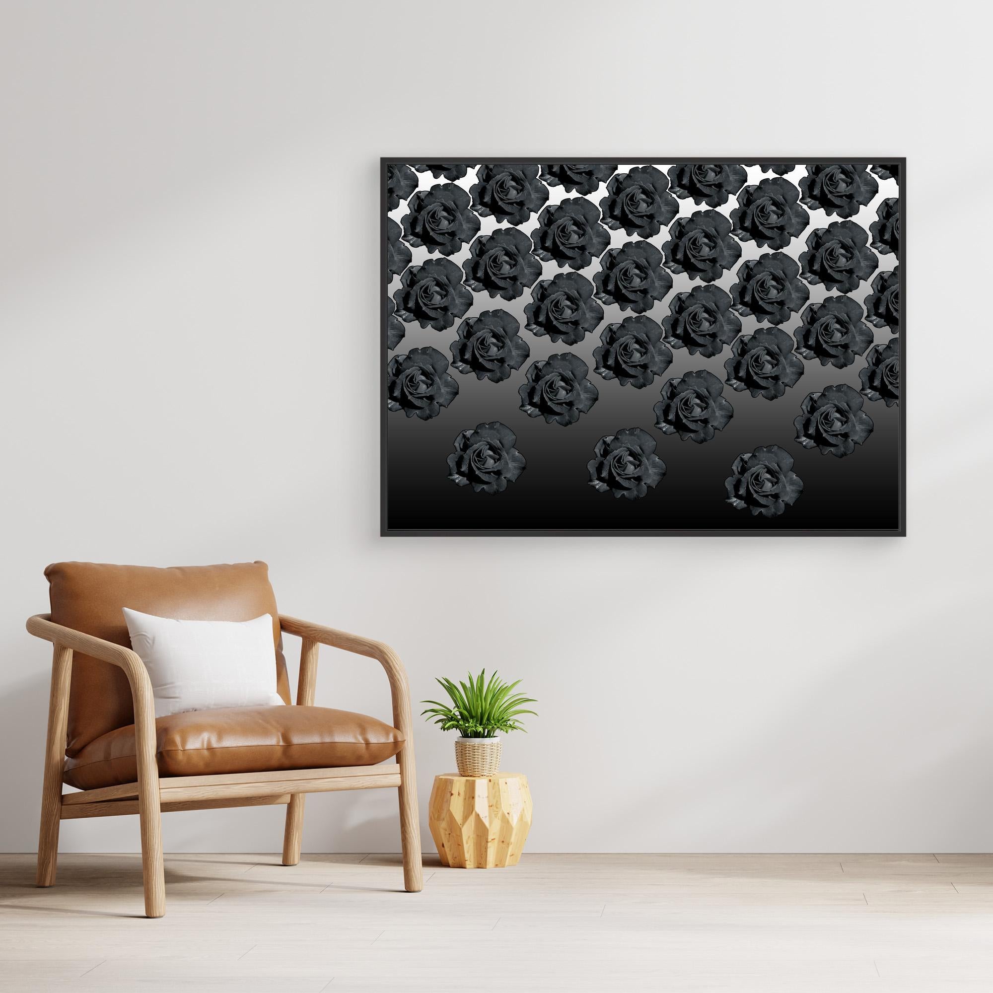 Ros Varas Chile Rose 06