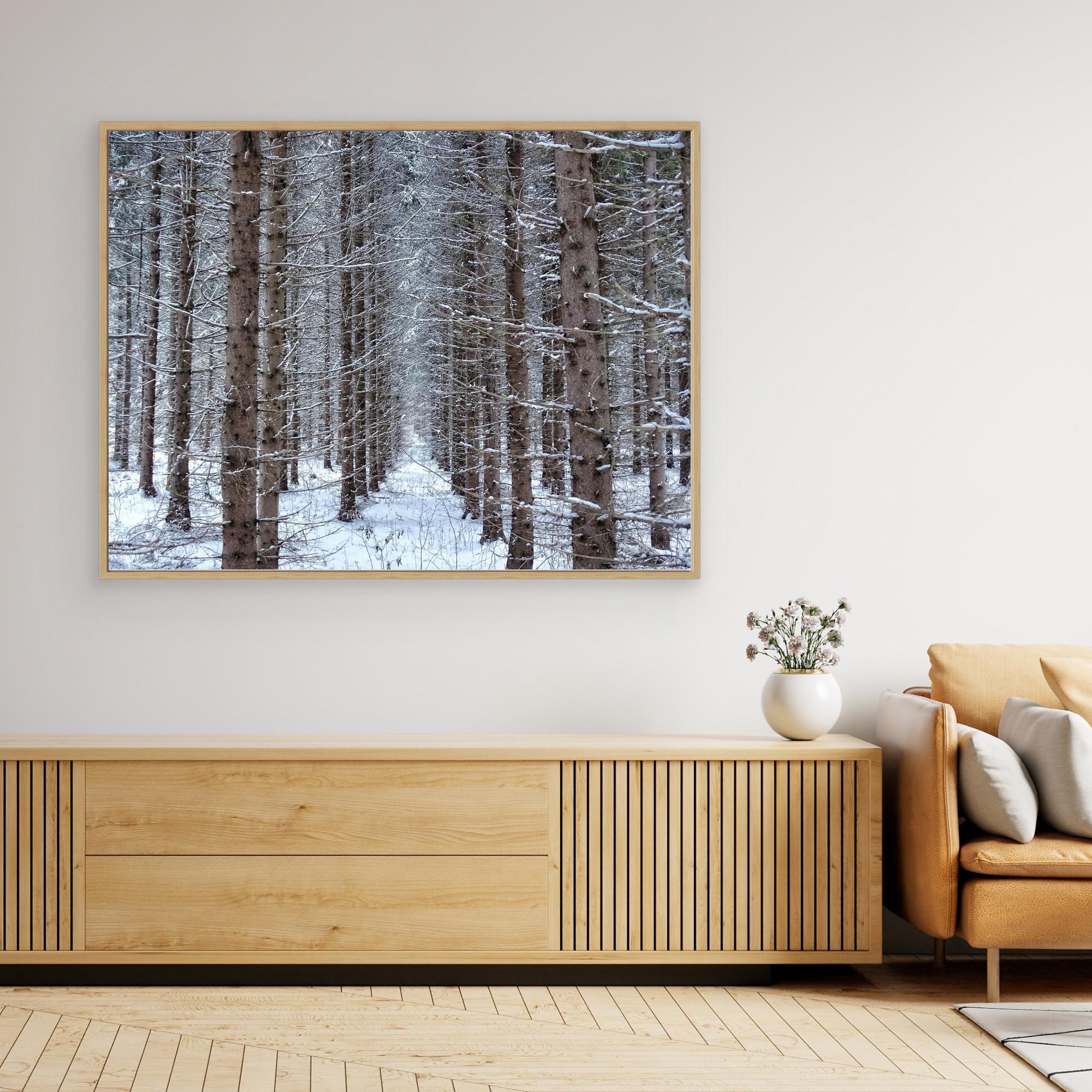 Skogsåker Vinter Forest field