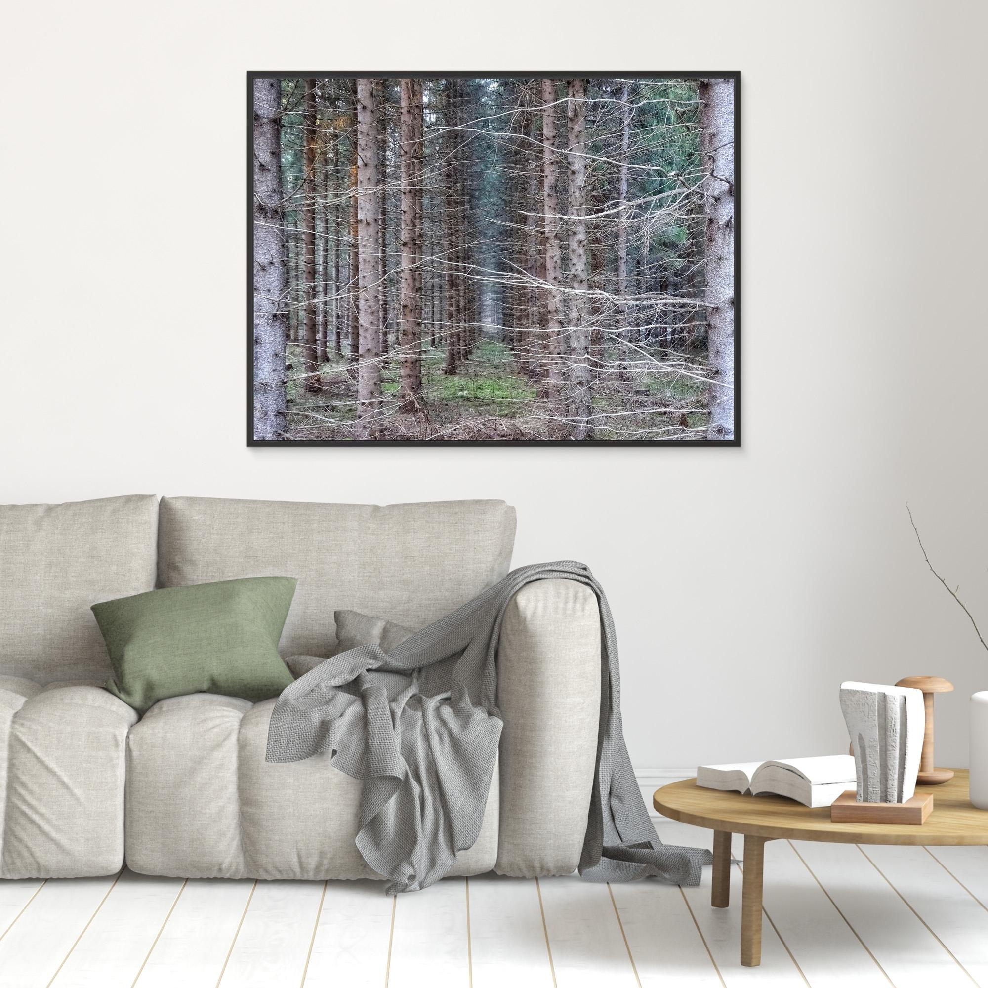 Skogsåker Forest Field