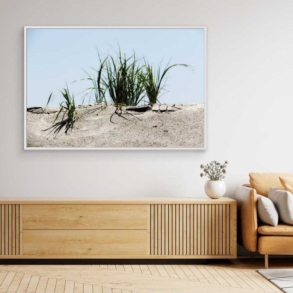 Jersey Shores USA 02