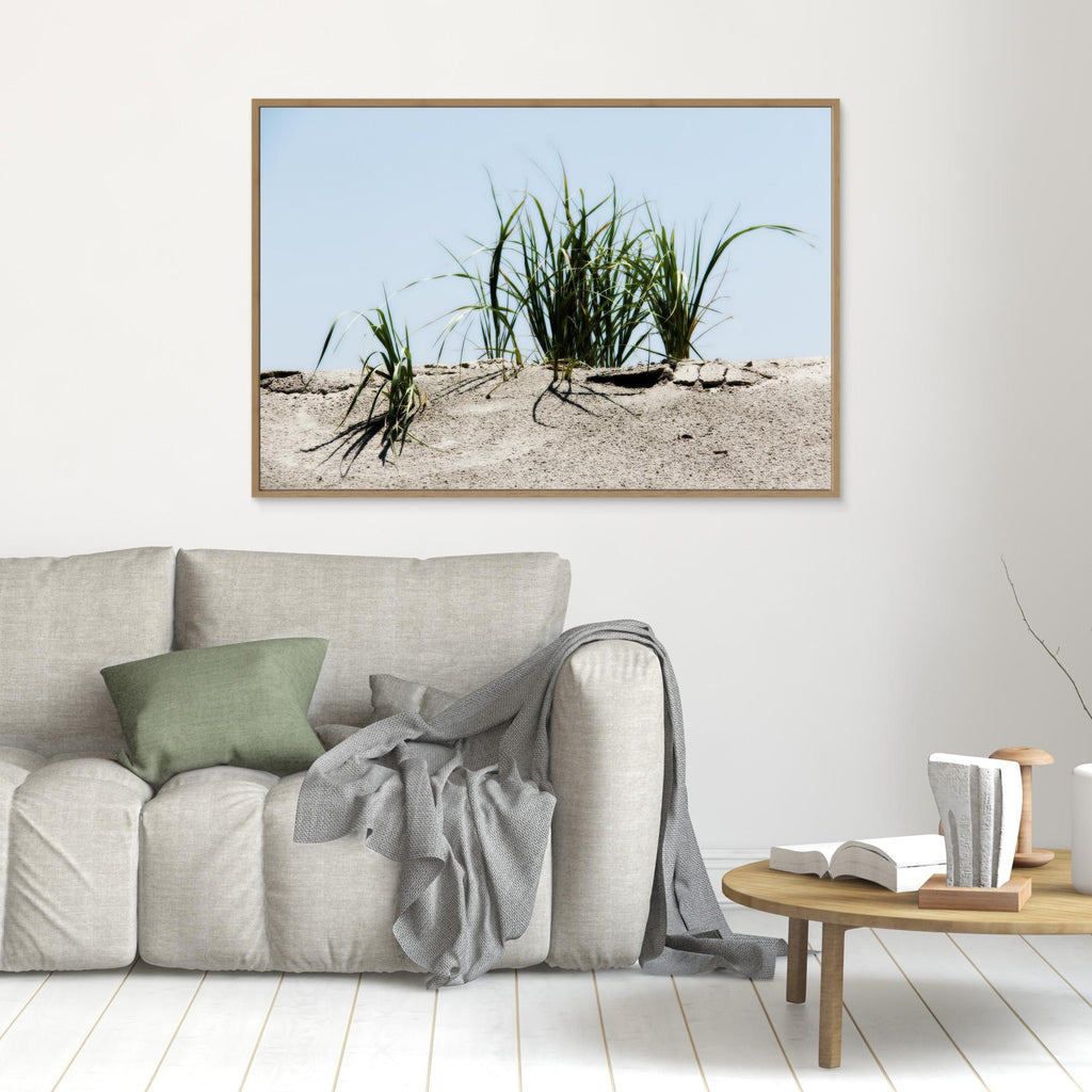 Jersey Shores USA 02