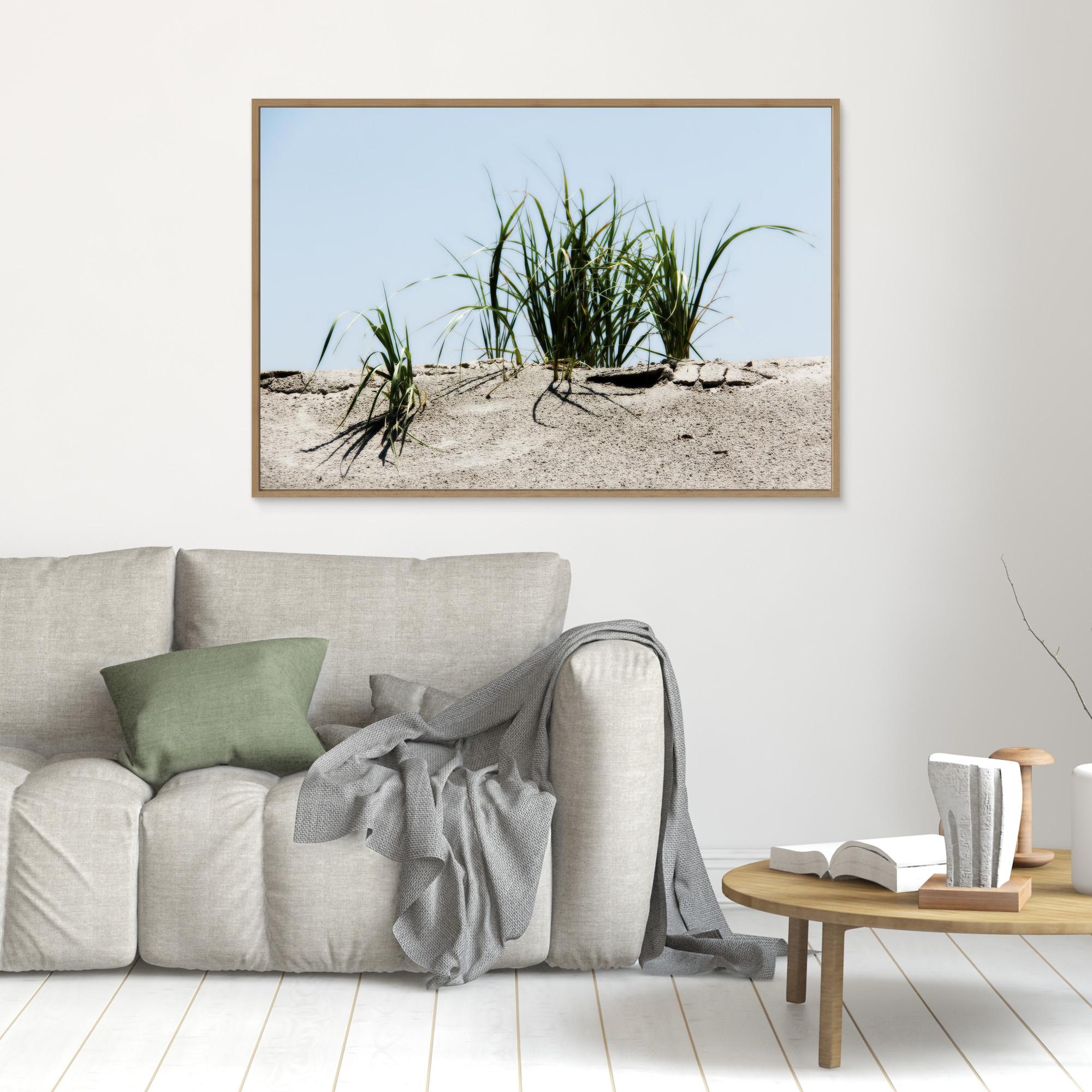 Jersey Shores USA 02