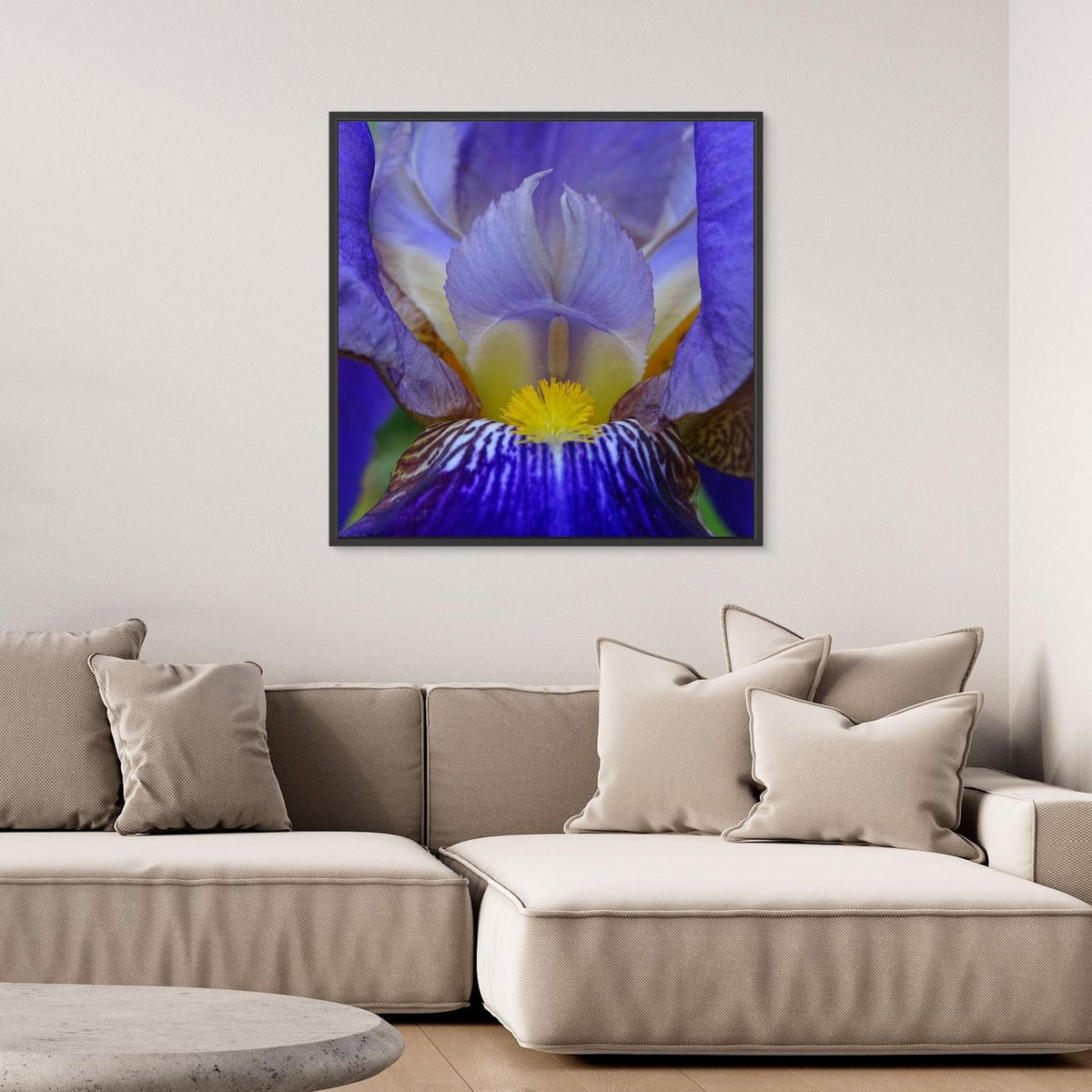 Blå Iris Blue