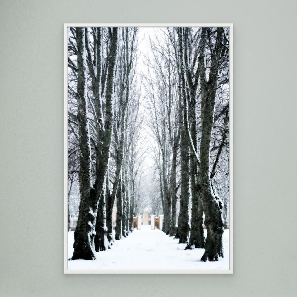 Lindallé Linden trees