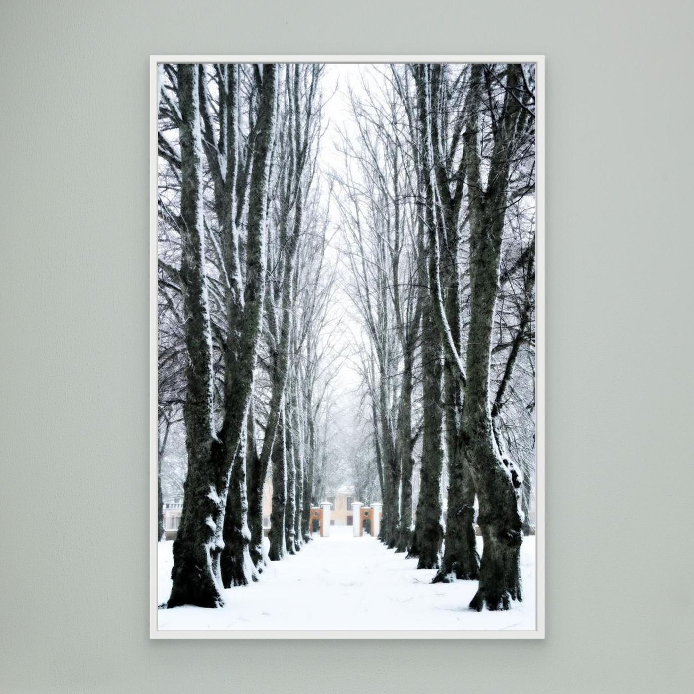 Lindallé Linden trees