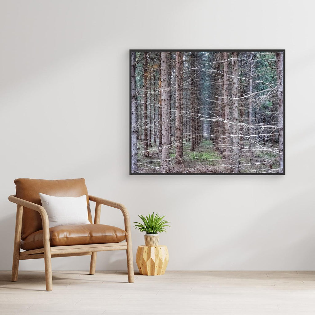 Forest Field I